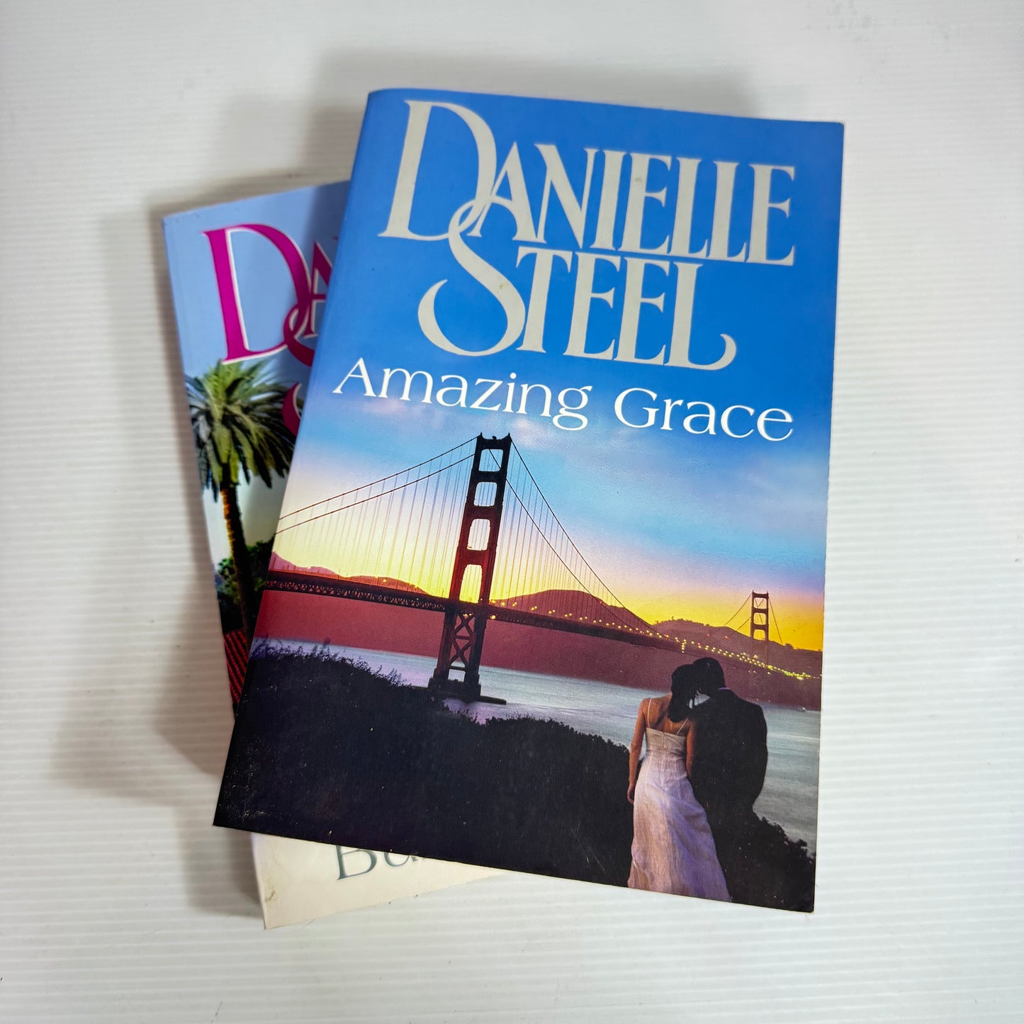 Danielle Steel Book Bundle x 2 Books : Bungalow 2 & Amazing Grace (2459)