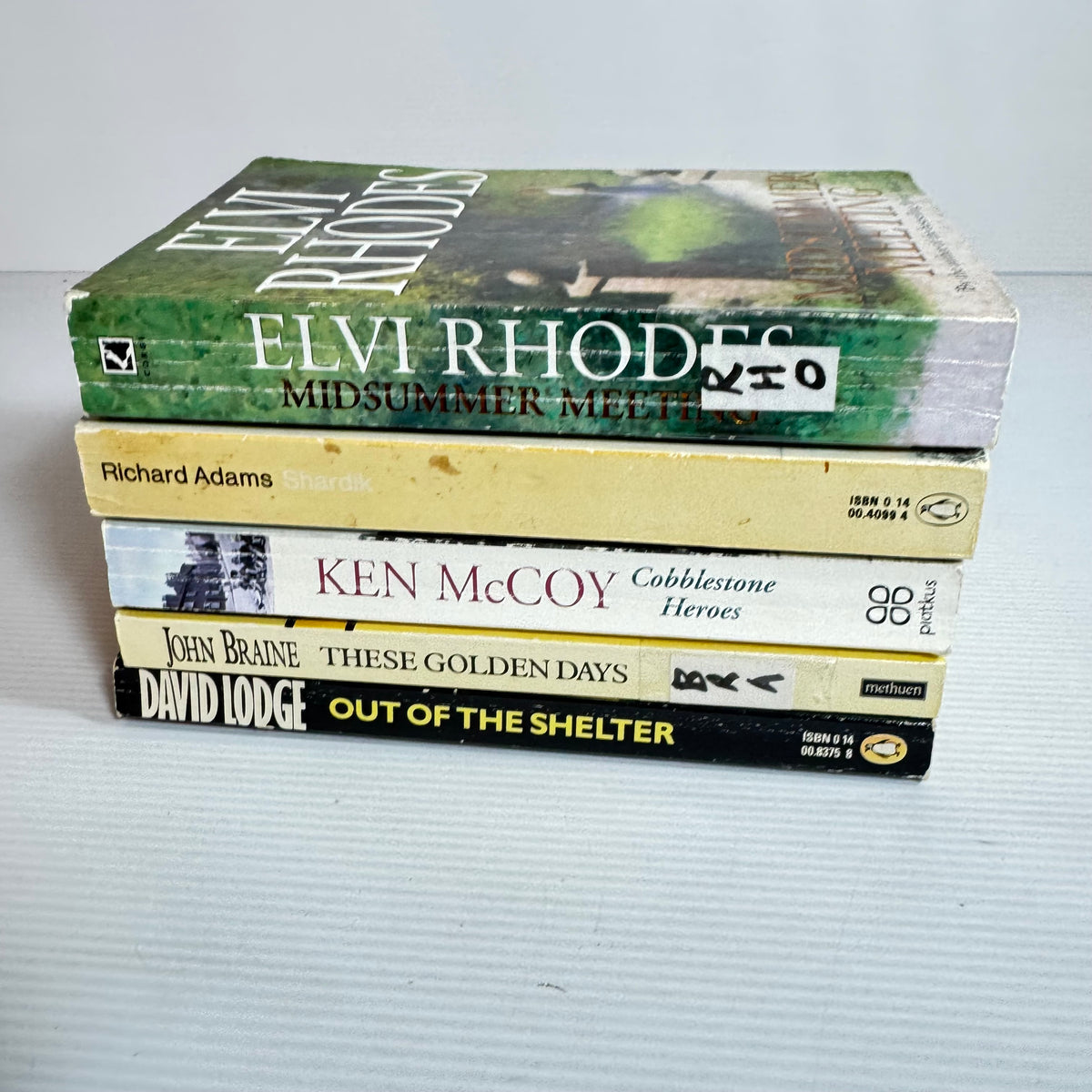Historical Book Bundle x 5 : Midsumer Meeting - Elvi Rhodes, Shardik - Richard Adams, Out of the Shelter - David Lodge, These Golden Days - John Braine, Cobblestone Heroes - Ken McCoy(3375)