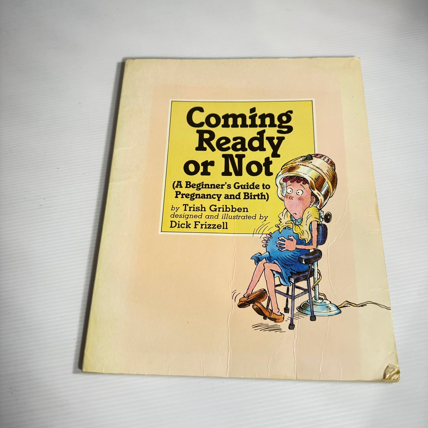 Trish Gribben Parenting Vintage Big Book Bundle x 3 : Nits & Other Nasties, Coming Red or Not, Pyjamas Don't Matter (Vintage 1986)(3071)