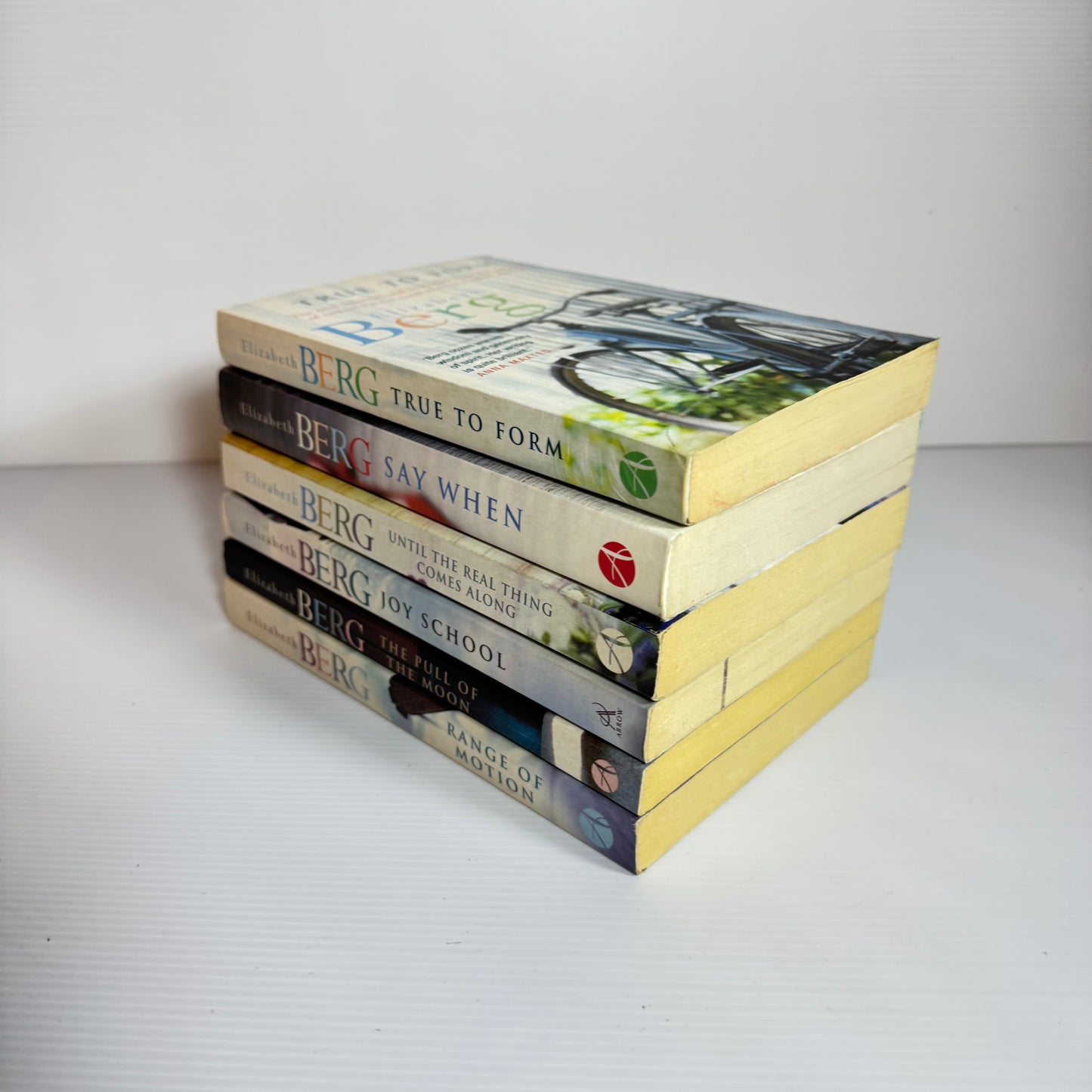 Elizabeth Berg Book Bundle x 6 : Say When, True to Form, Range of Motion, Joy School, The Pull of The Moon, Until The Real Thing Comes Along (3055)