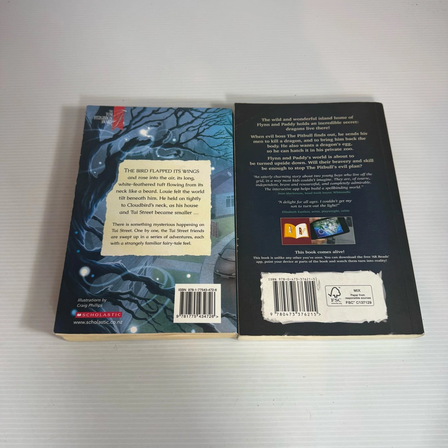 Children's Fantasy Book Bundle x 2 : The Dragon Defenders - James Russell & Tui Street Tales - Anne Kayes(2331)