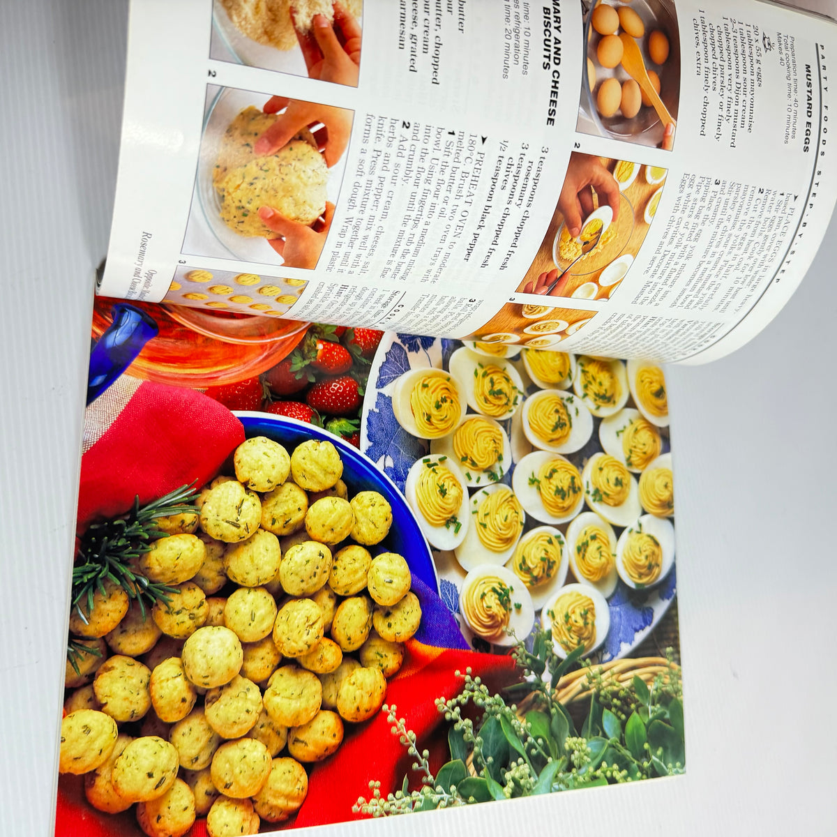 Finger Food Book Bundle x 3 : Nibbled, Fantastic Finger Food - Robyn Martin, Party & Finger Food - Family Circle Step-By-Step(3325)