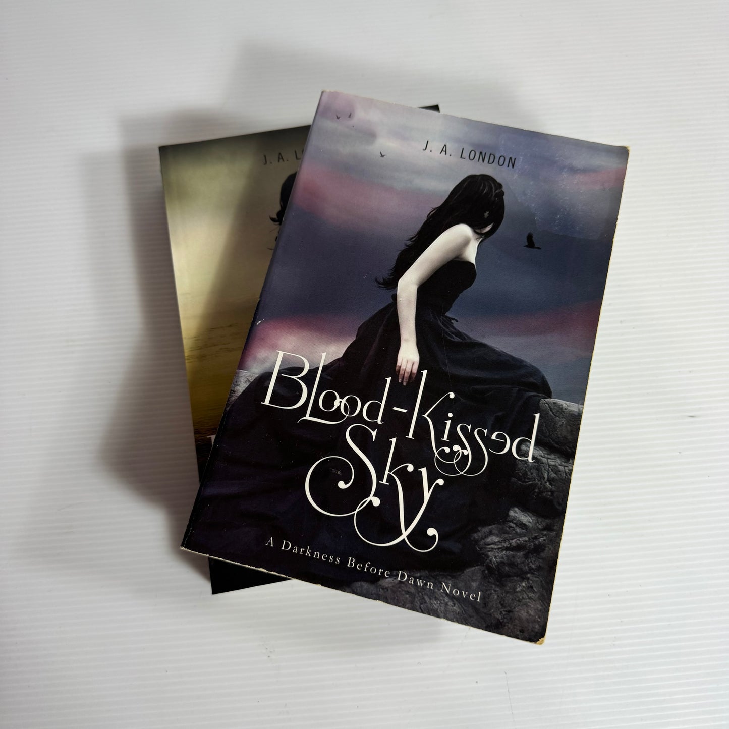 J.A. London A Darkness Before Dawn Book Bundle x 2 : Blood-Kissed Sky & After Darkbreak (3113)