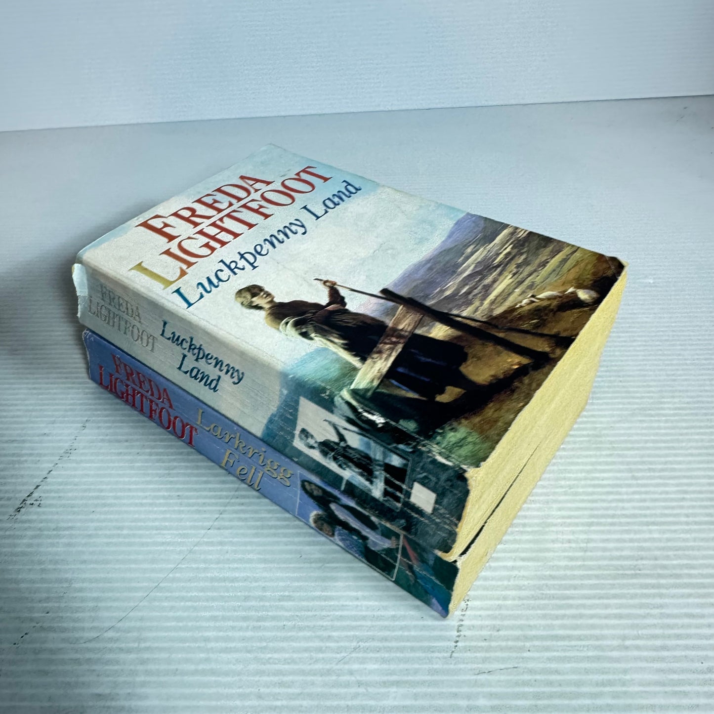 Freda Lightfoot Book Bundle x 2 : Luckpenny Land & Larkrigg Fell (2968)