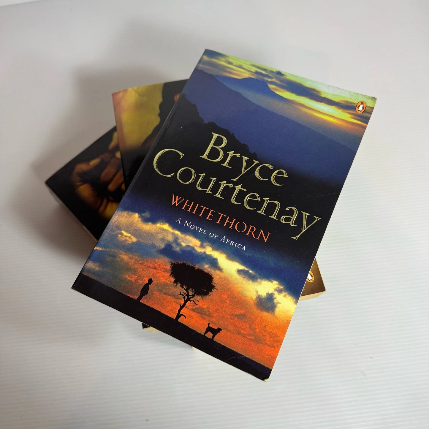 Bryce Courtenay Book Bundle x 3 : Whitethorn, The Persimmon Tree, Tommo & Hawk (2178)