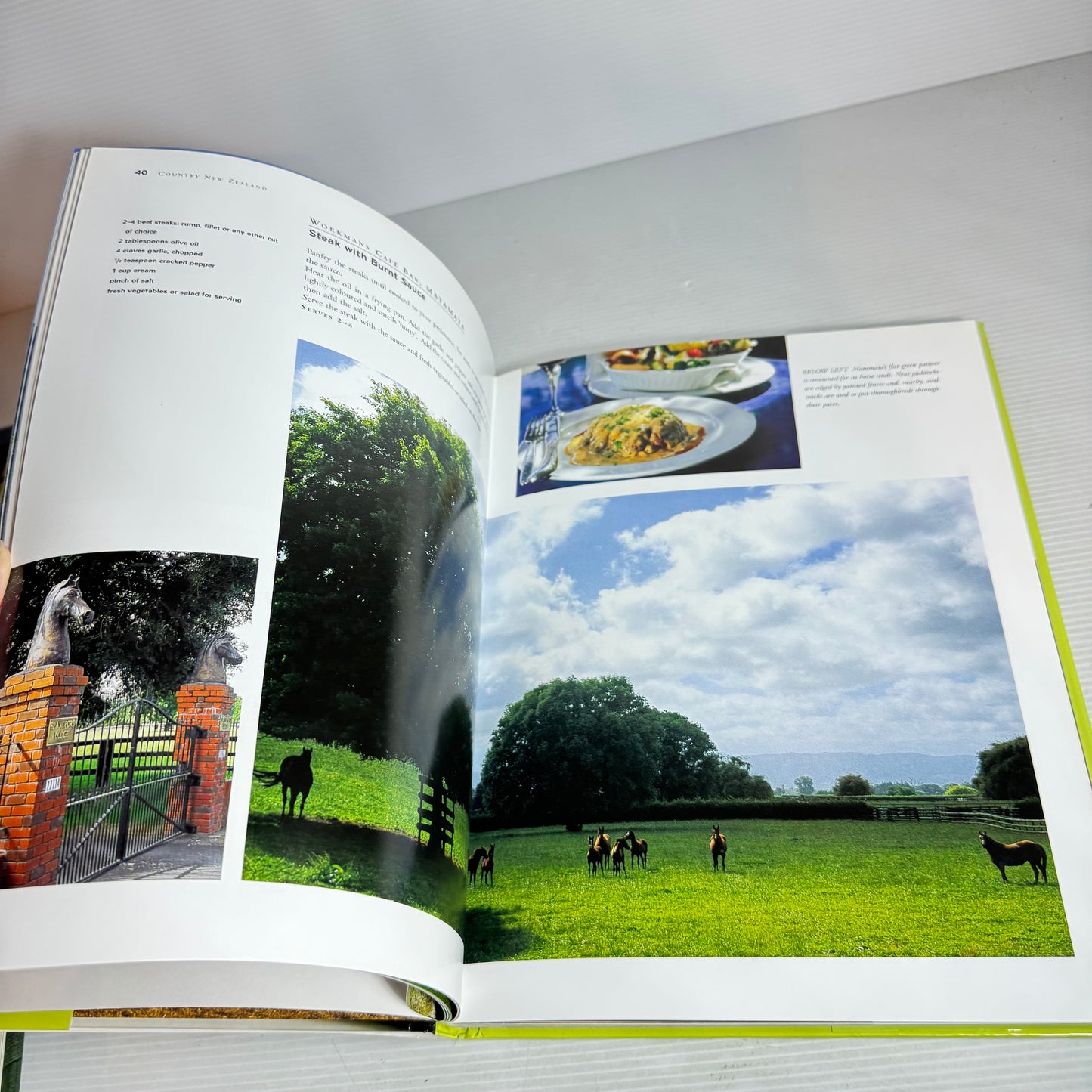 New Zealand Hardcover Cookbook Bundle x 3 : Taste of New Zealand : Winter, Country New Zealand : A Culinary Journey, The Beautiful New Zealand Cookbook - Tui Flower (2932)