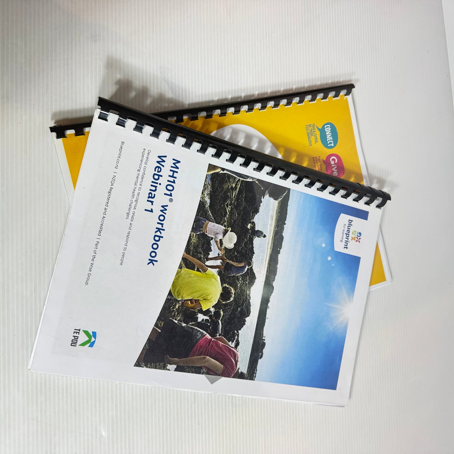 Blueprint for Learning : Mental Health MH101 Workbook & Toolkit (2501)