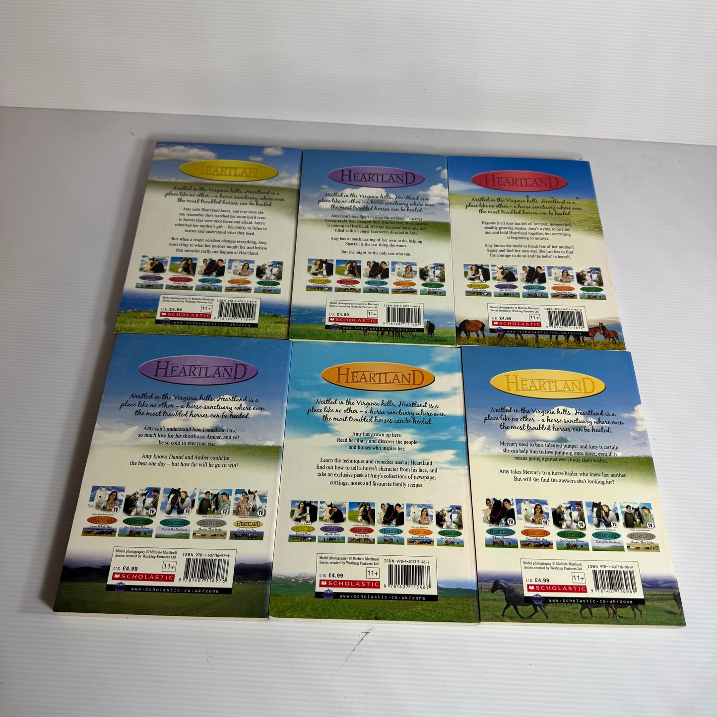 Lauren Brooke Heartland Horse Series Book Bundle x 9 Books (3184)