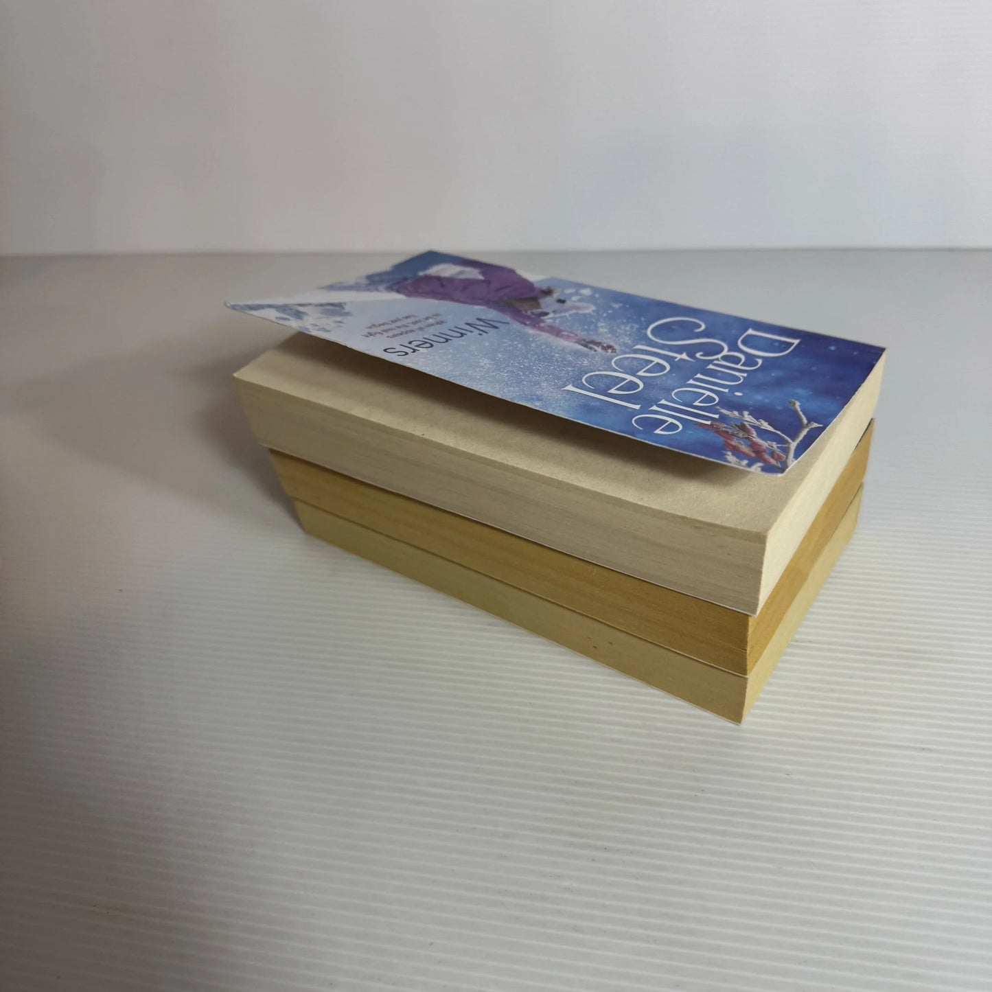 Danielle Steel Book Bundle x 3 : Winners, Star, Granny Dan (2257)
