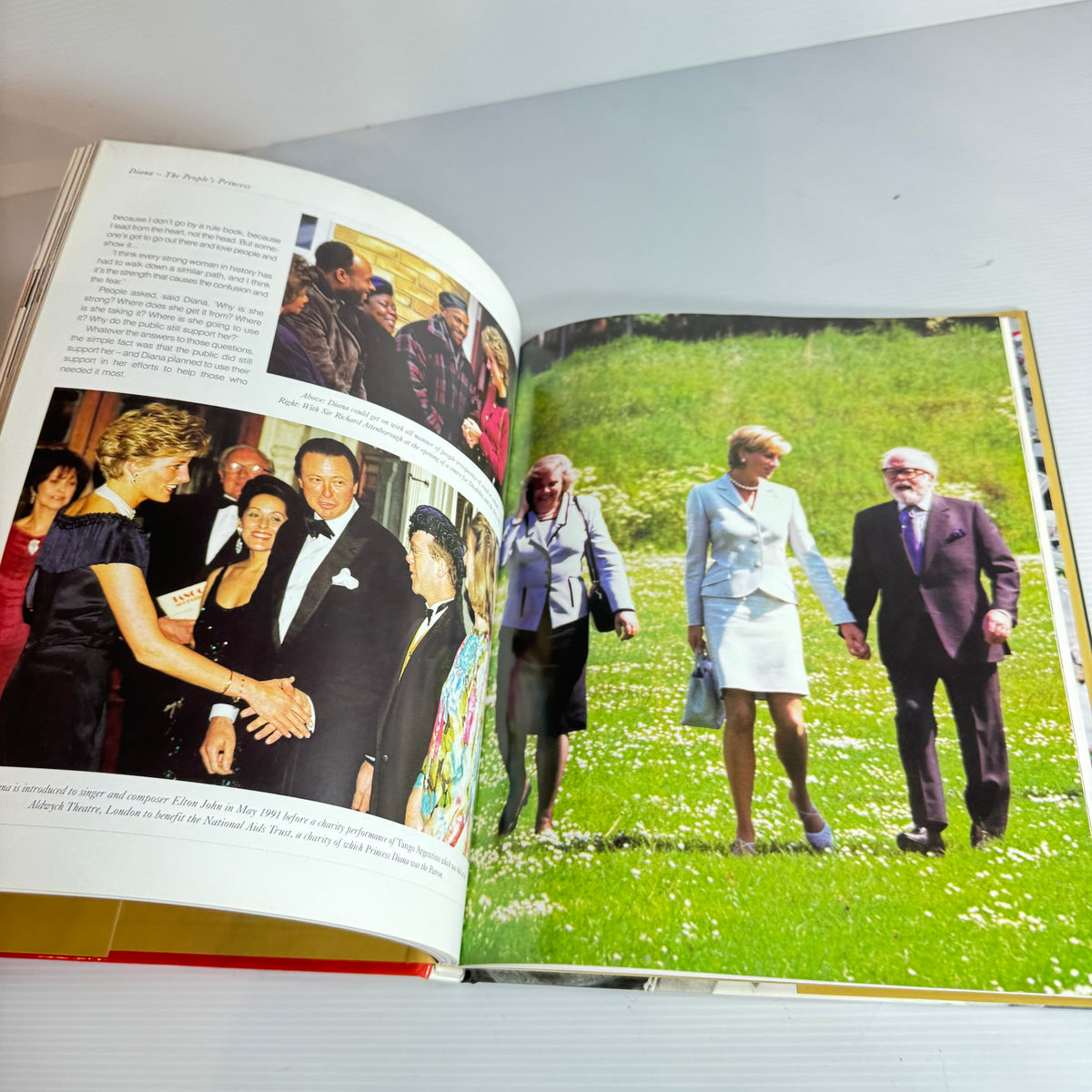 Royal Family Book Bundle : William& Catherin - Andrew Morton, William : The Man Who Will Be King - Nicolas Davies, Diana : A Tribute to the People's Princess (3228)