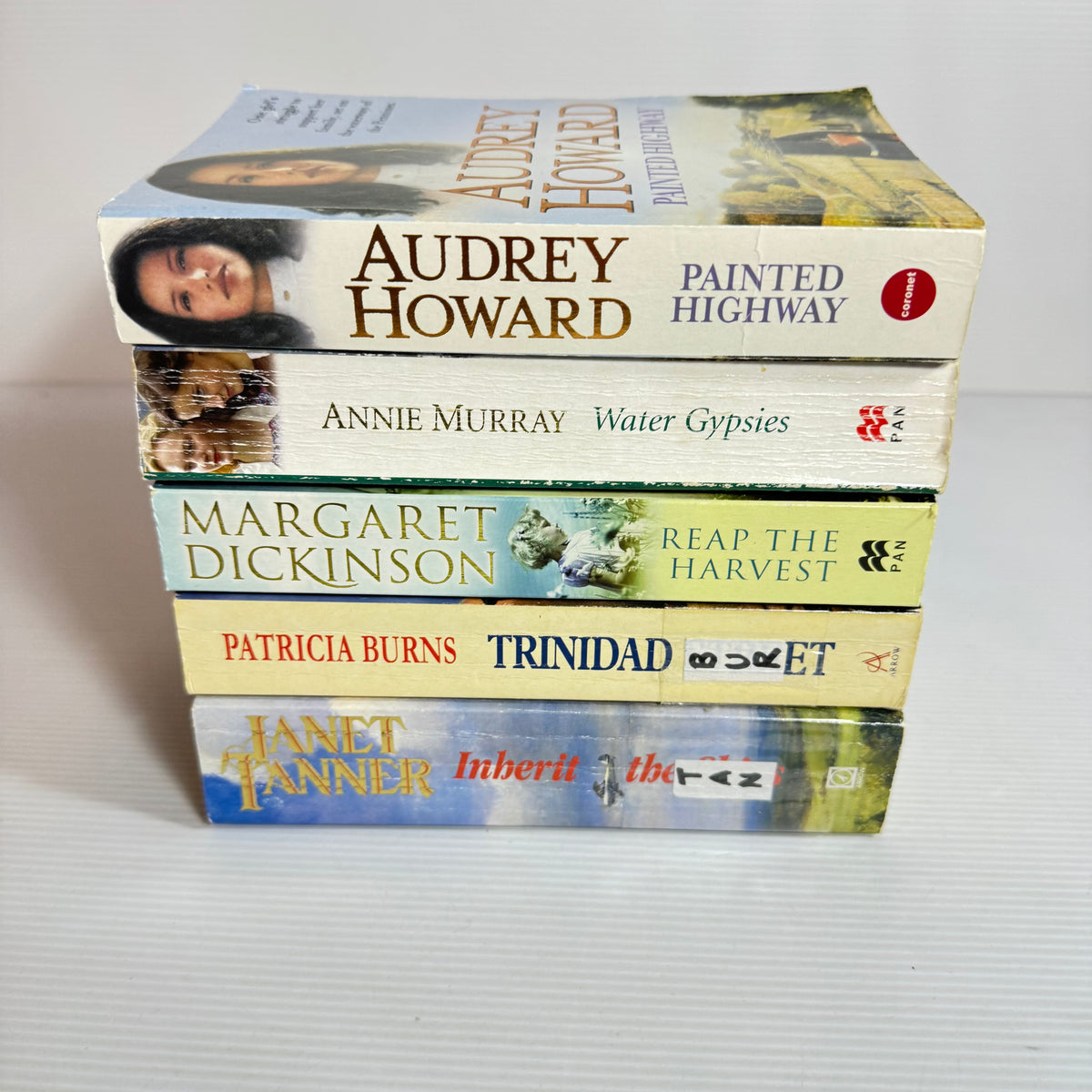 Romantic Family Saga Bundle x 5 : Water Gypsies - Annie Murray, Painted Highway - Audrey Howard, Trinidad Street - Patricia Burns, Reap The Harvest - Margaret Dickinson, Inberit The Skies - Janet Tanner (3371)