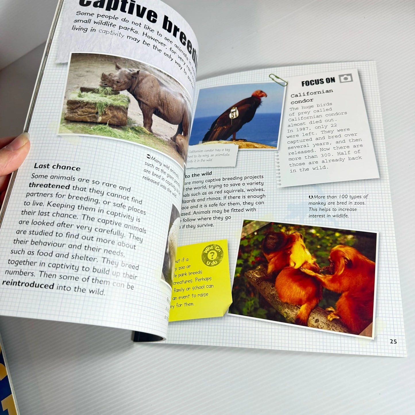 Changes In Book Bundle x 4 Books : Changes In Climate, Population, Food and Farming, Animal Habitats - Steve Parker