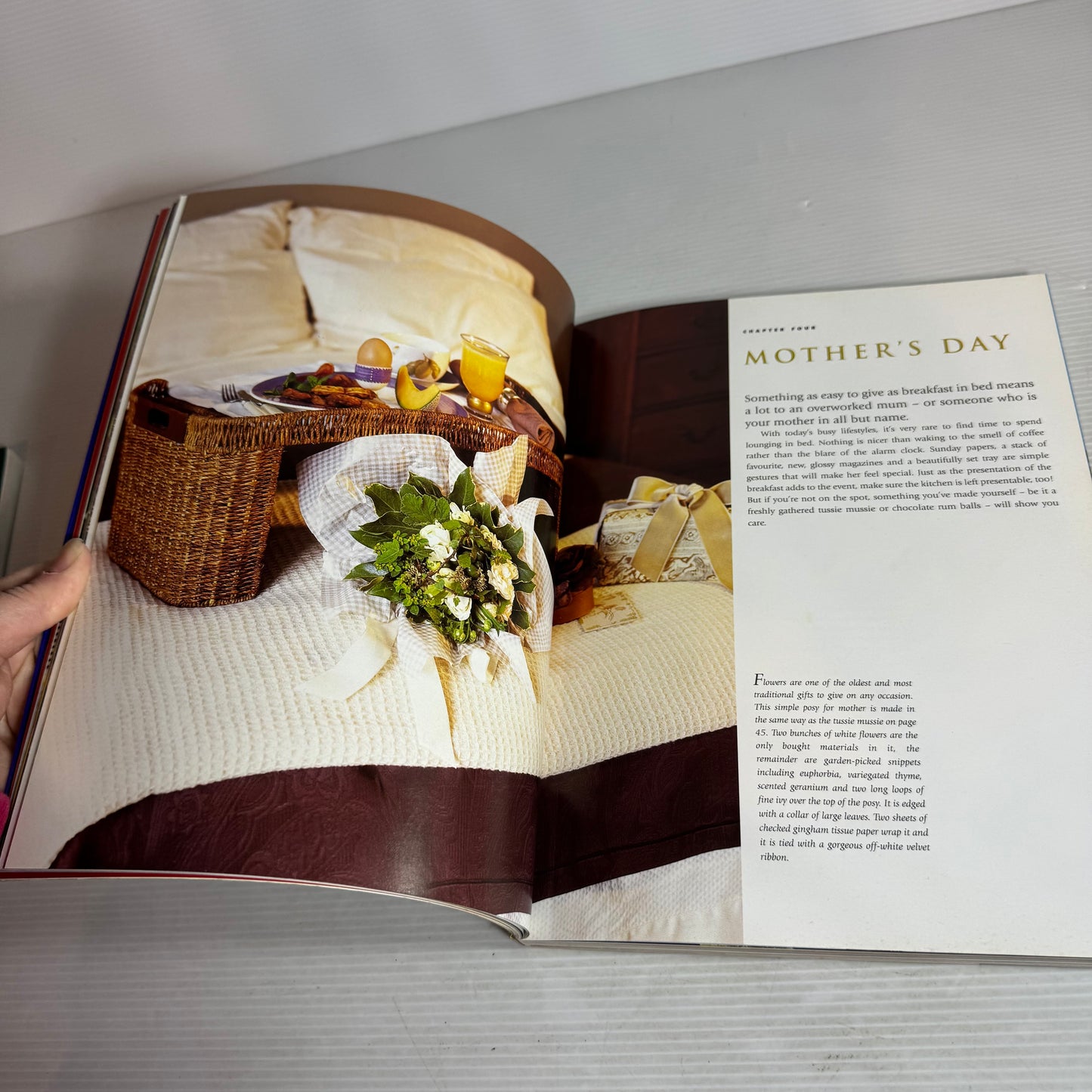Jo Seagar Cookbook Bundle x 2 : Nifty Tricks & Celebrations (2911)