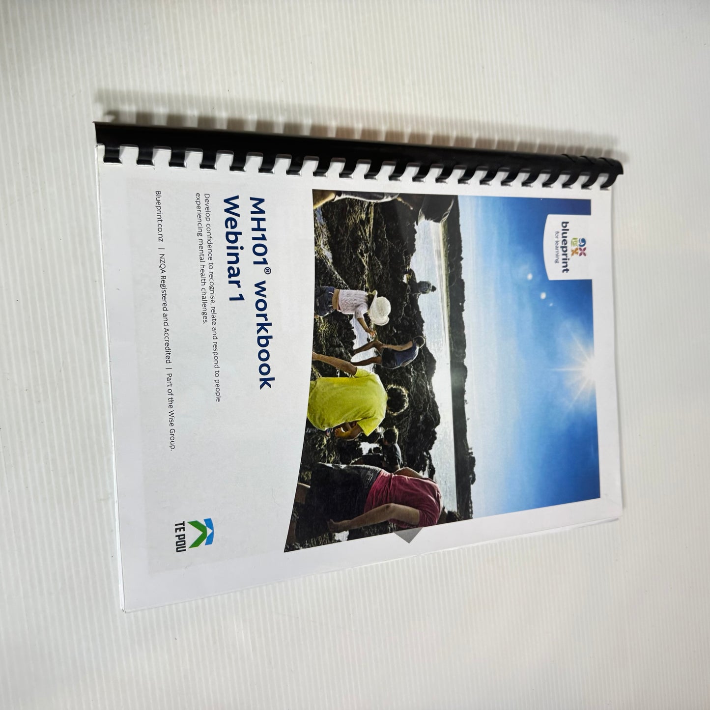 Blueprint for Learning : Mental Health MH101 Workbook & Toolkit (2501)