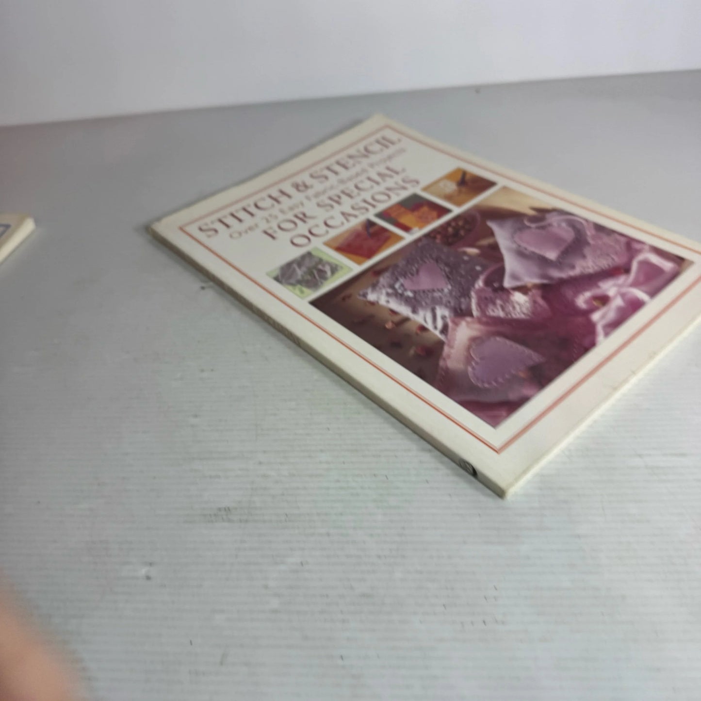 Stitch and Stencil Book Bundle x 2 Books - For The Home & For Special Occasions