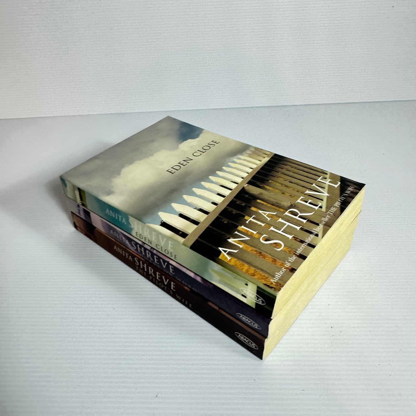 Anita Shreve Book Bundle x 3 : Eden Close, Where or When, The Pilot's Wife (3099)