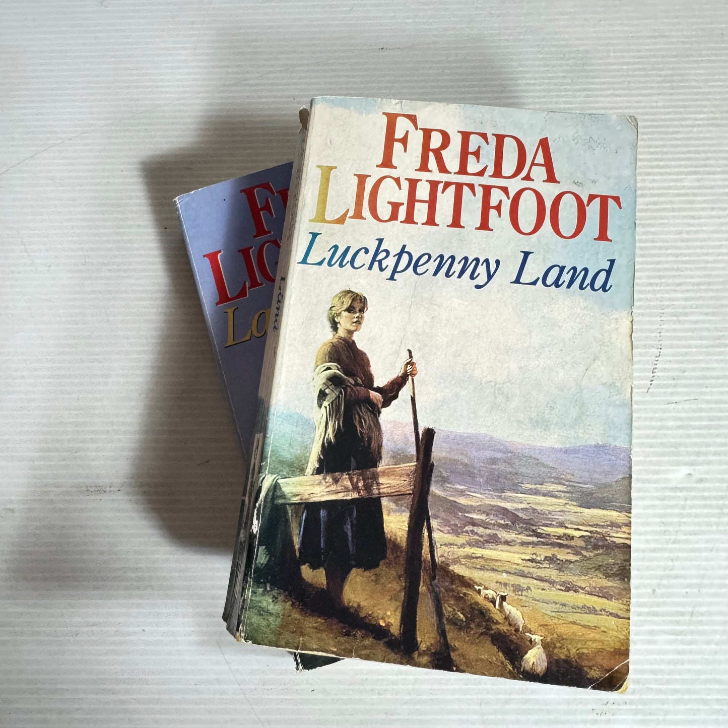 Freda Lightfoot Book Bundle x 2 : Luckpenny Land & Larkrigg Fell (2968)