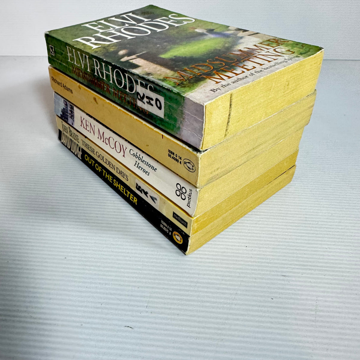 Historical Book Bundle x 5 : Midsumer Meeting - Elvi Rhodes, Shardik - Richard Adams, Out of the Shelter - David Lodge, These Golden Days - John Braine, Cobblestone Heroes - Ken McCoy(3375)