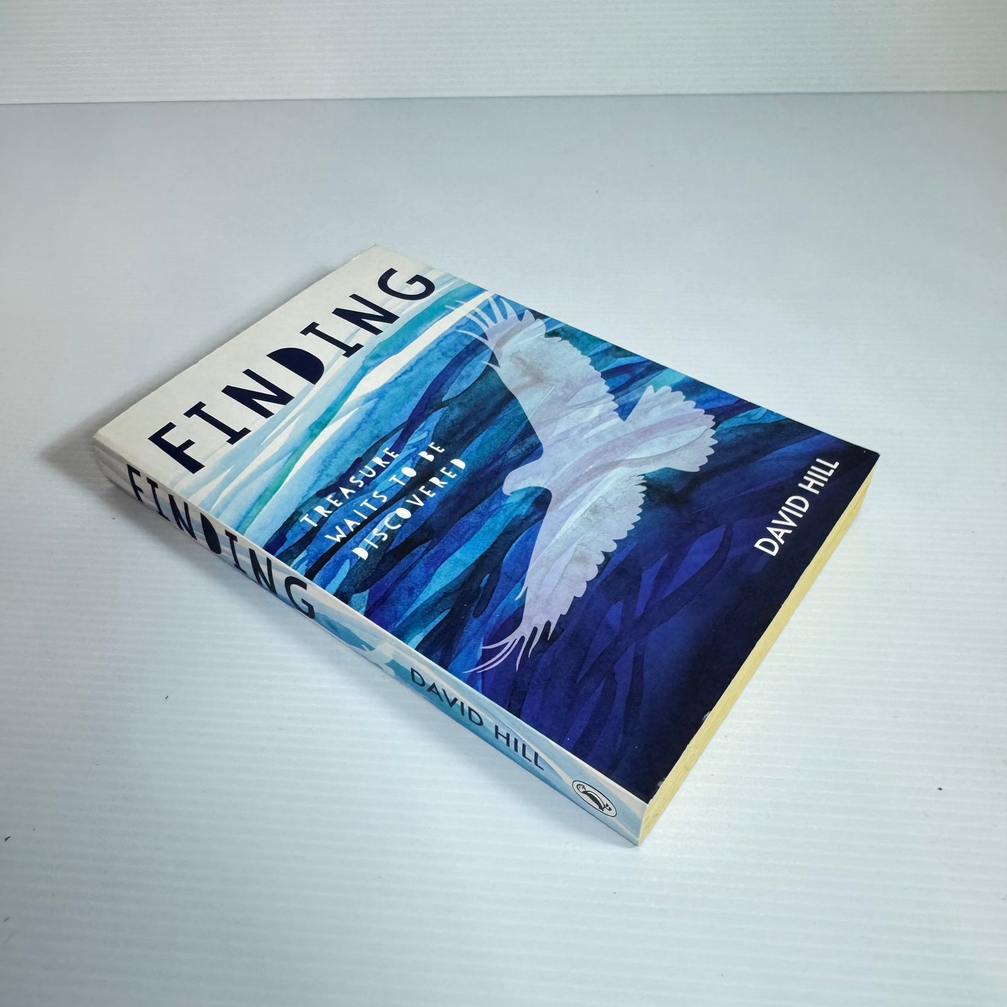 Finding : Treasure Waits To Be Discovered - David Hill