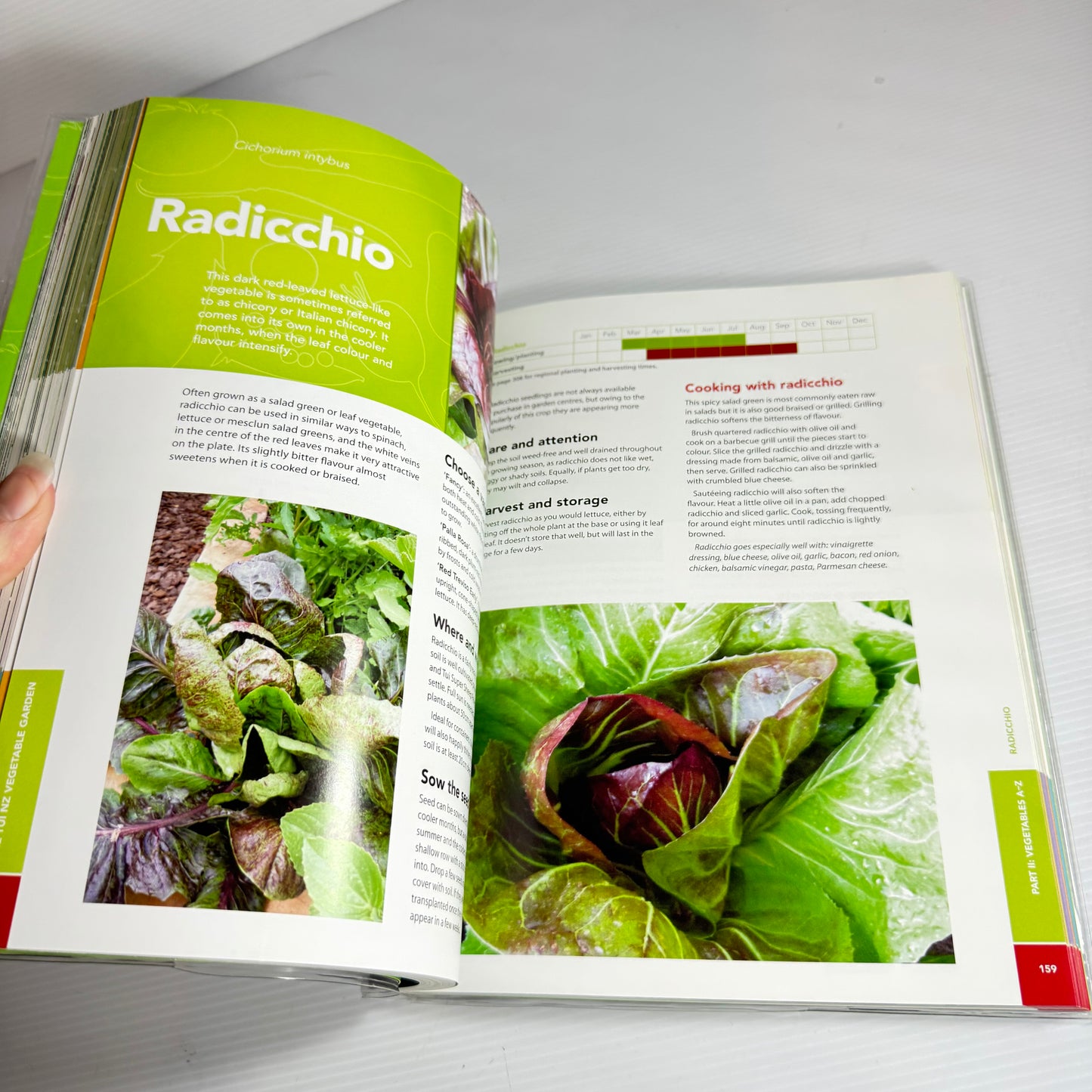 The Tui NZ Vegetable Garden (3rd Ed.) - Rachel Vogan