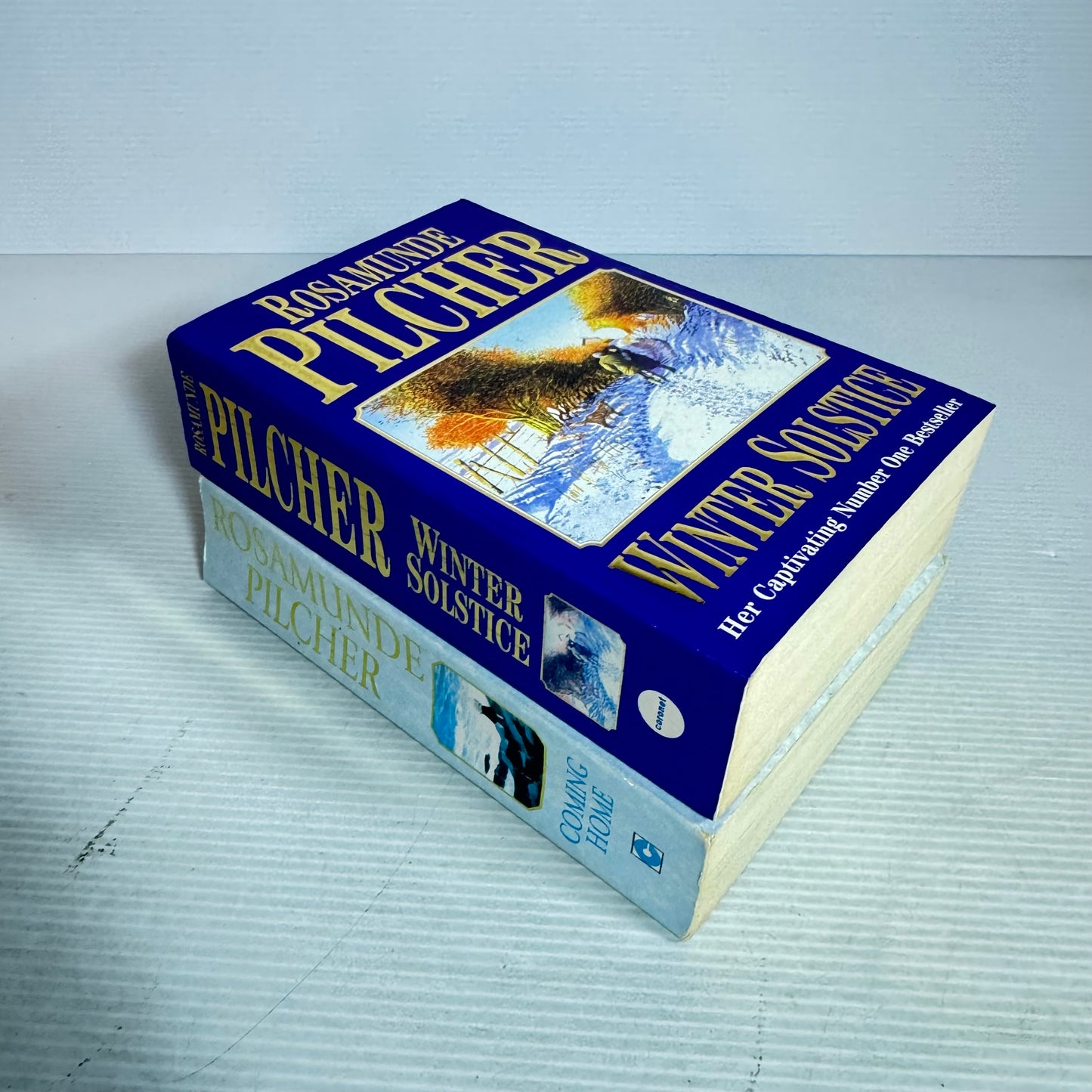 Rosamunde Pilcher Book Bundle x 2 : Winter Solstice & Coming Home (2969)
