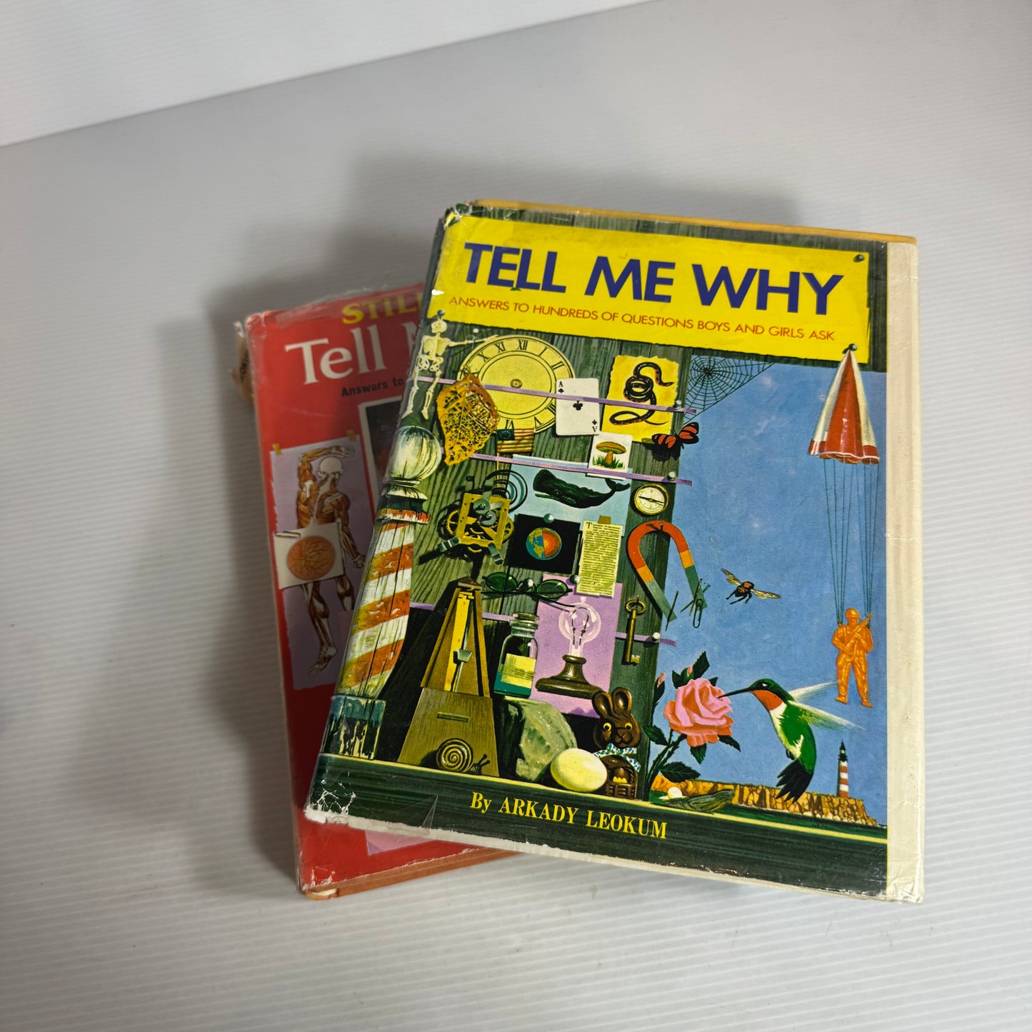 Tell Me Why & Still Tell Me Why Book Bundle - Arkady Leokum (Vintage 1966) (2479)