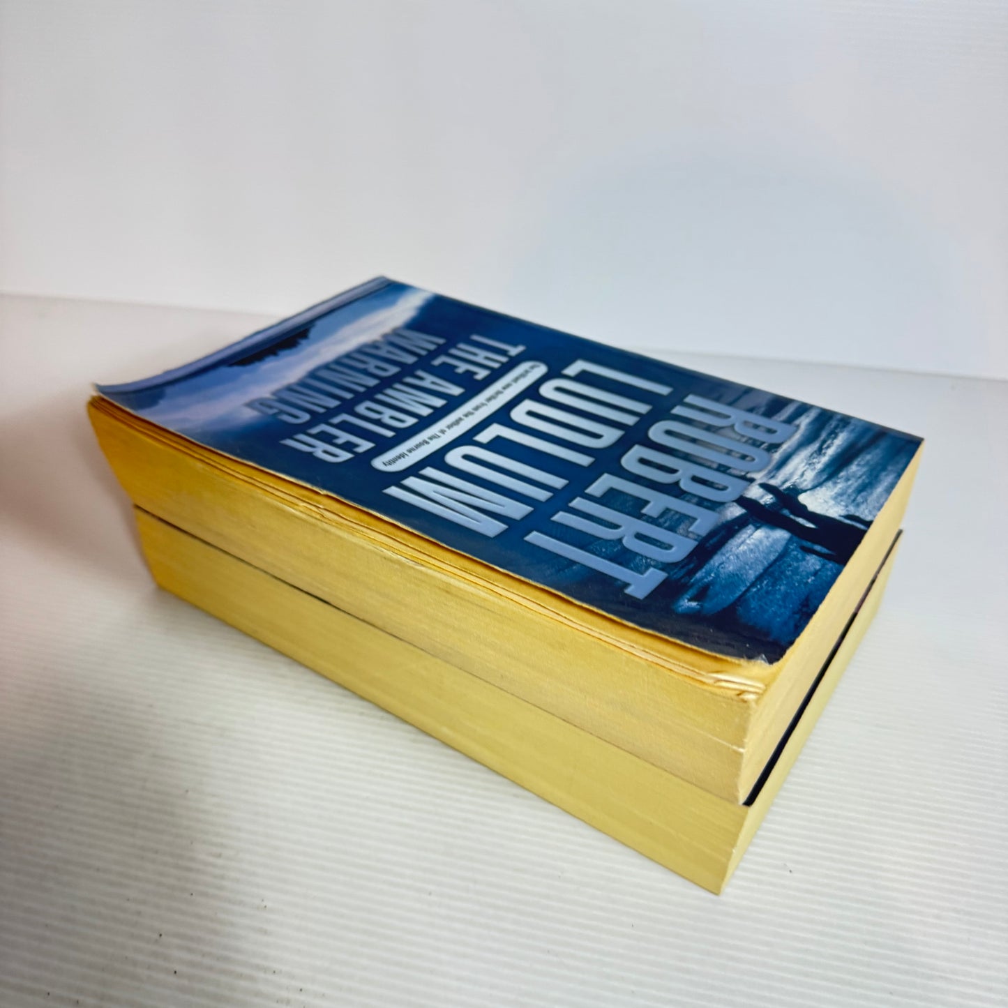 Robert Ludlum Book Bundle x 2 : The Janson Directive & The Ambler Warning (2466)