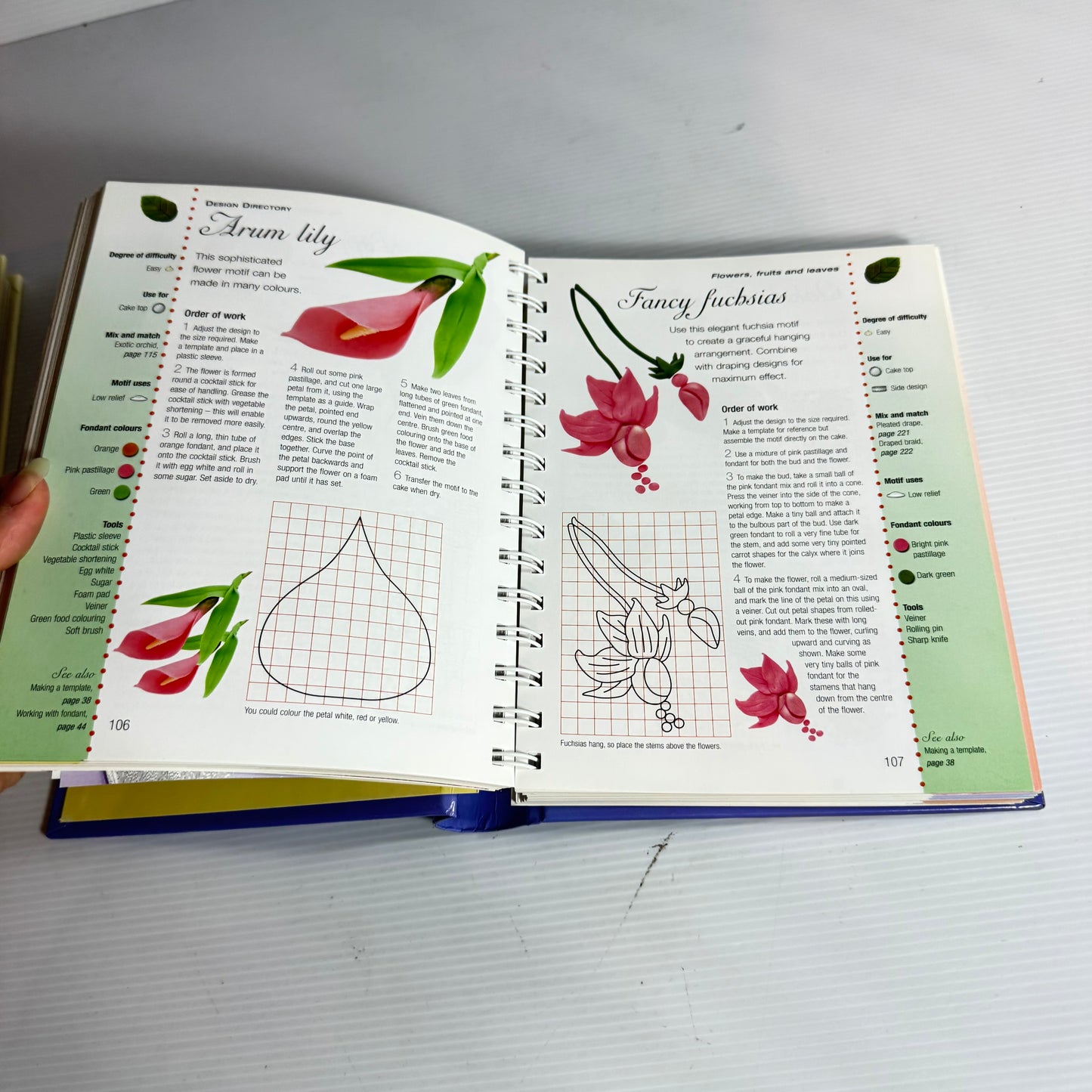 Cake Decoration Book Bundle x 2 Books (3222)