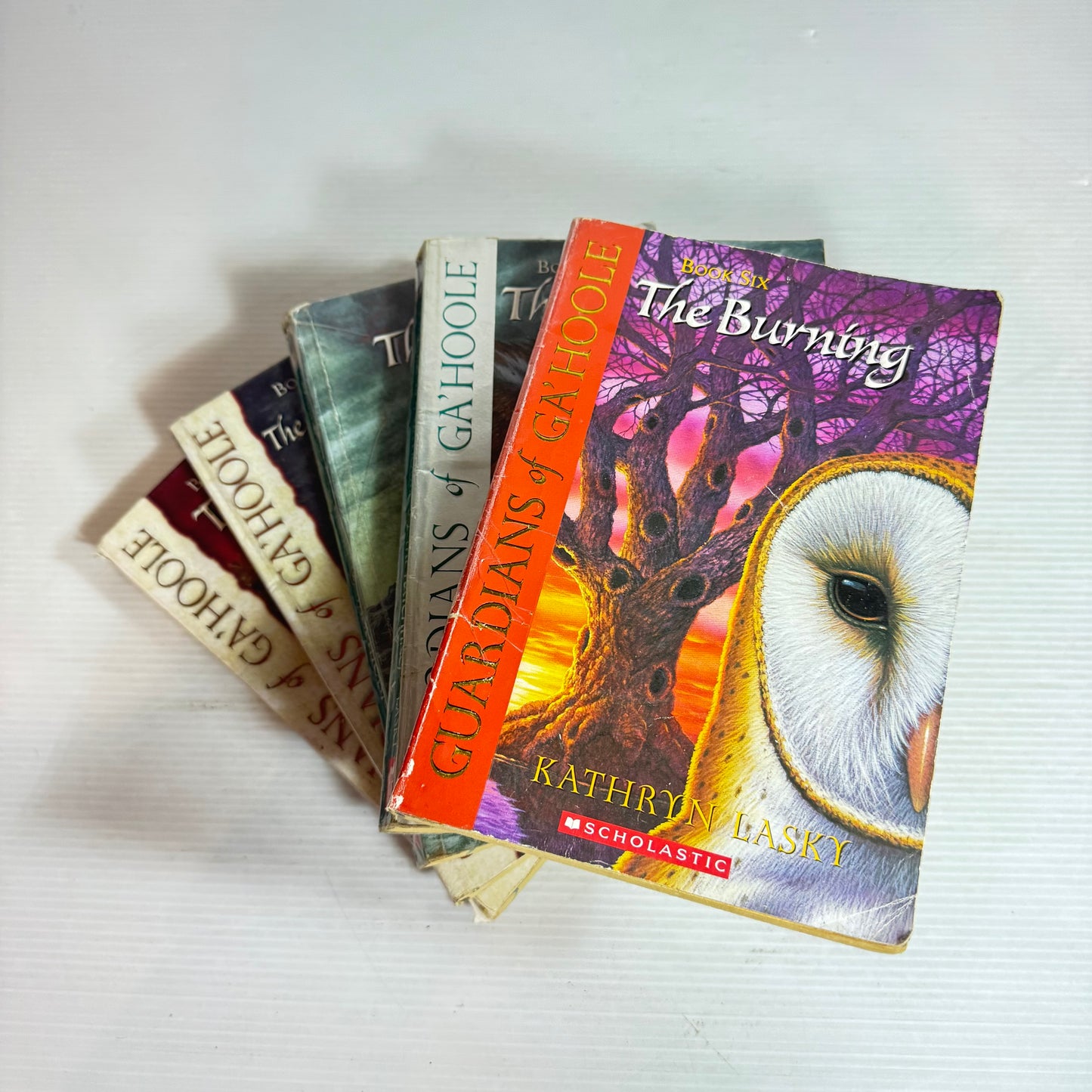 Guardians of Ga' Hoole Book Bundle - Kathryn Lasky x 5 Books : The Burning, The Hatchling, The Outcast, To Be A King, The Coming of Hoole(2875)