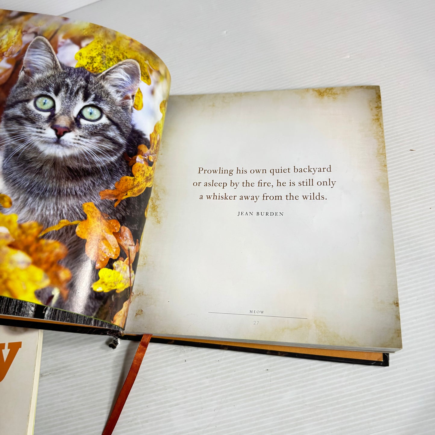 Cat Lovers Book Bundle x 3 : Meow, How to Have a Happy Cat, Roger Caras' Treasury of Great Cat Stories (2858)