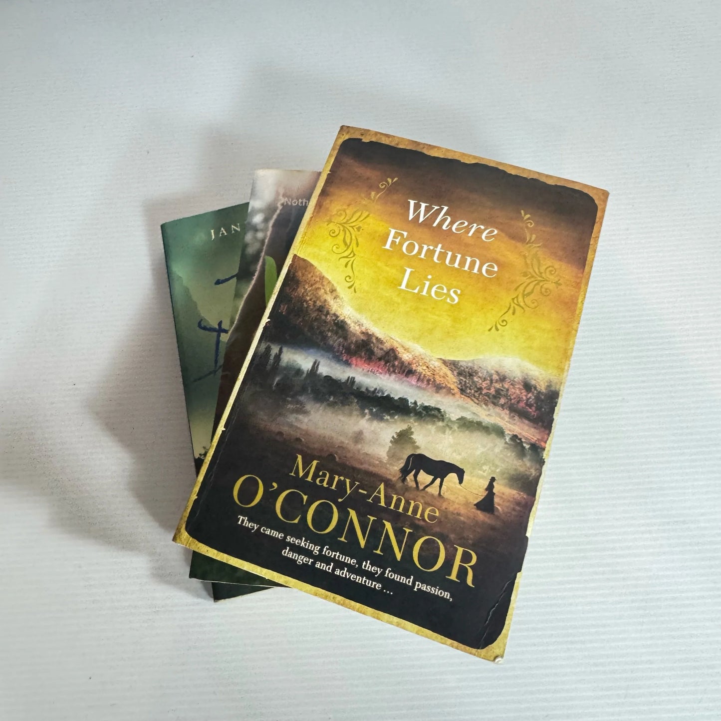 Fiction Book Bundle x 3 Books : Various Authors (2144)