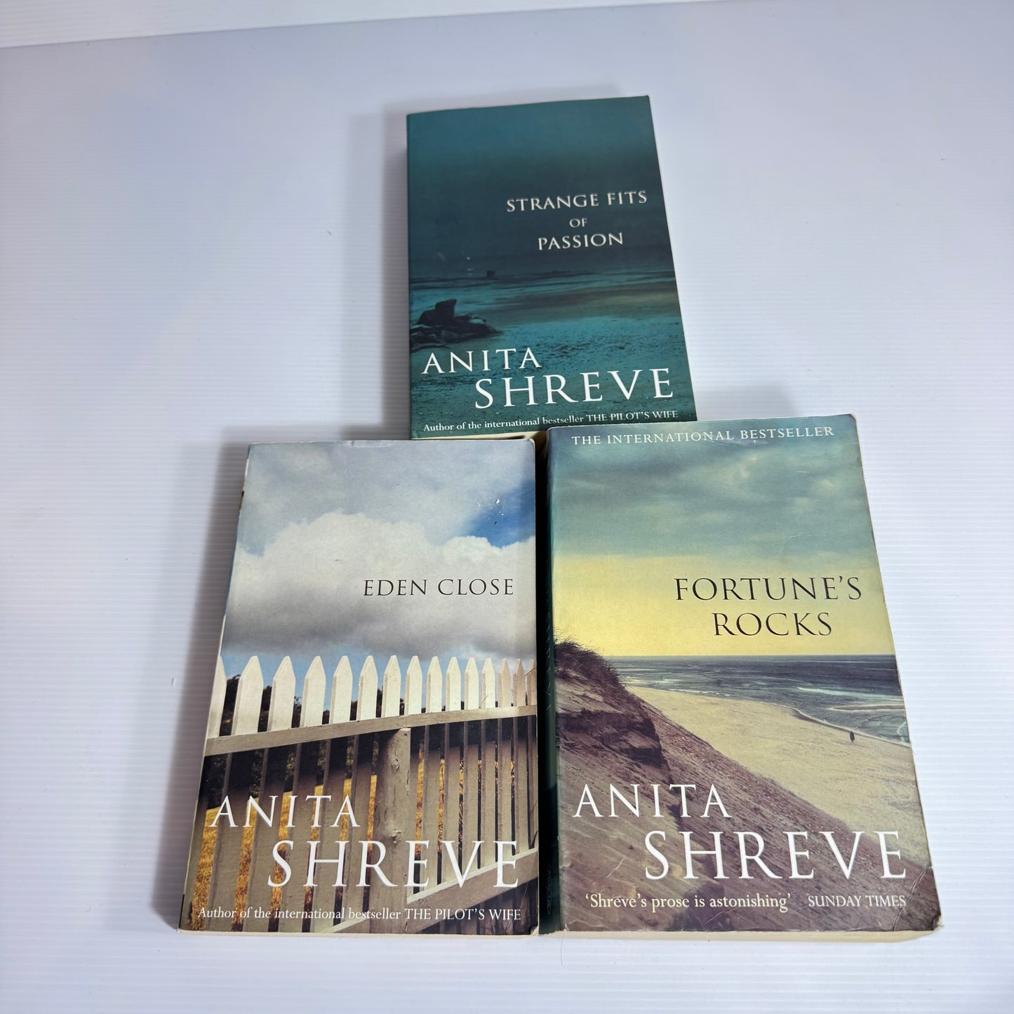 Anita Shreve Book Bundle x 3 : Strange Fits of Passion, Eden Close, Fortune's Rocks (3098)