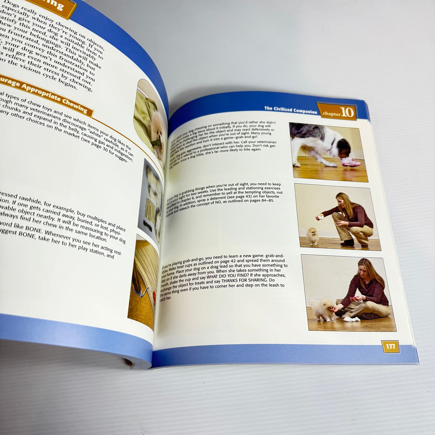 Dog Training : Teach Yourself Visually - Sarah Hodgson