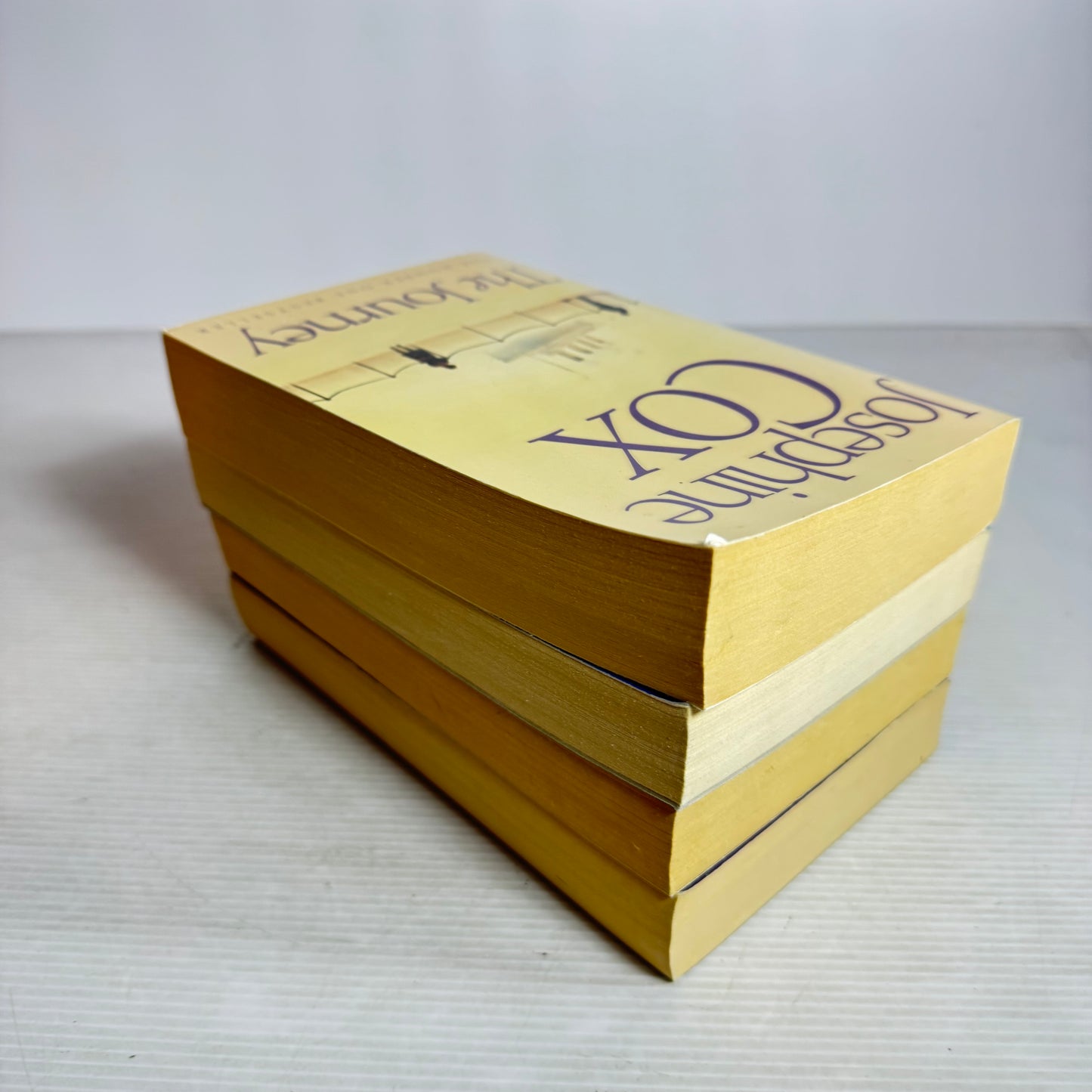 Josephine Cox Book Bundle x 4 : The Journey, Lonely Girl, Blood Brothers, Born Bad (3028)