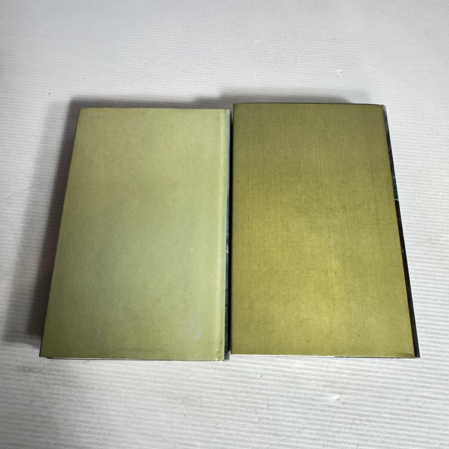Catherine Cookson Vintage Tilly Trotter Hardcover Bundle x 2 : Tilly Trotter Wed & Tilly Trotter Widowed(2996)