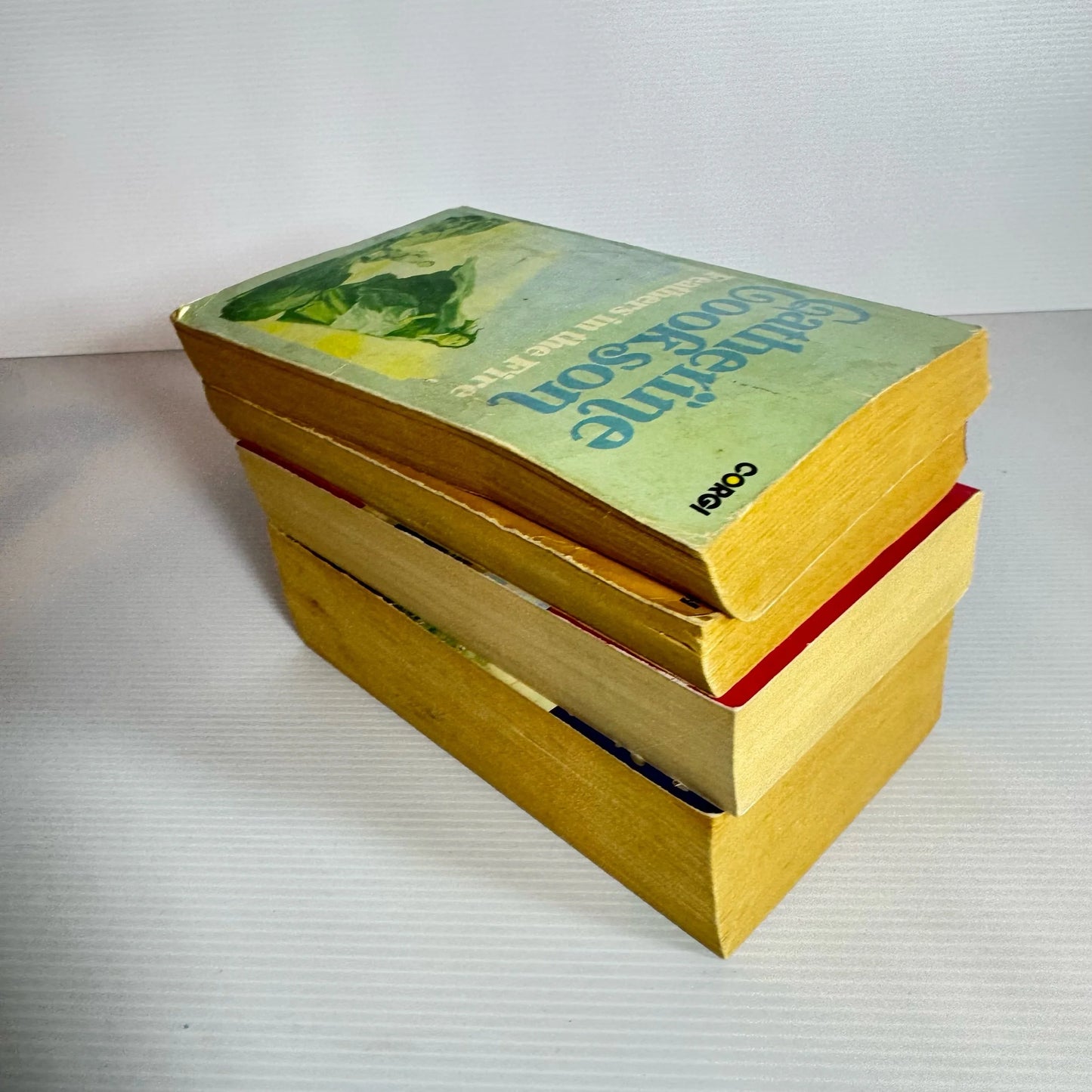 Catherine Cookson Vintage Book Bundle x 4 Books : The Mallen Litter, Feathers in the Fire, The Parson's Daughter, A  (2238)