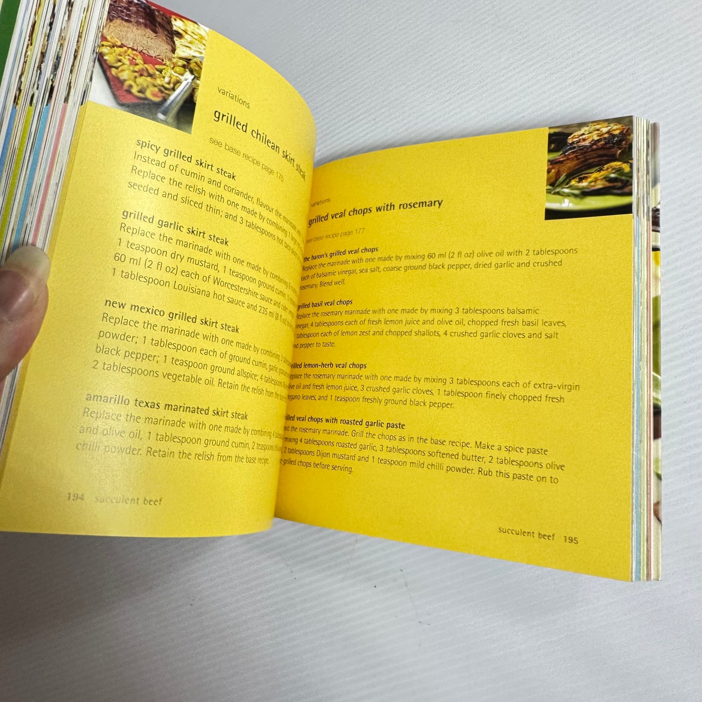 500 Recipe Book Bundle x 3 Books : Ice Creams & Sorbets, Barbecue Sizzlers, Pizzas & Flatbreads  (3213)
