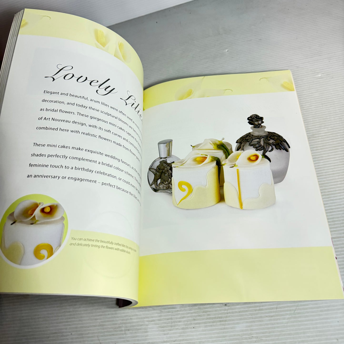Cupcake Book Bundle x 3 : Make, Bake and Decorate Cupcakes - Nancy Lambert, Retro Baking - The Australian Women's Weekly, Celebrate with Mini Cakes - Lindy Smith (3049)