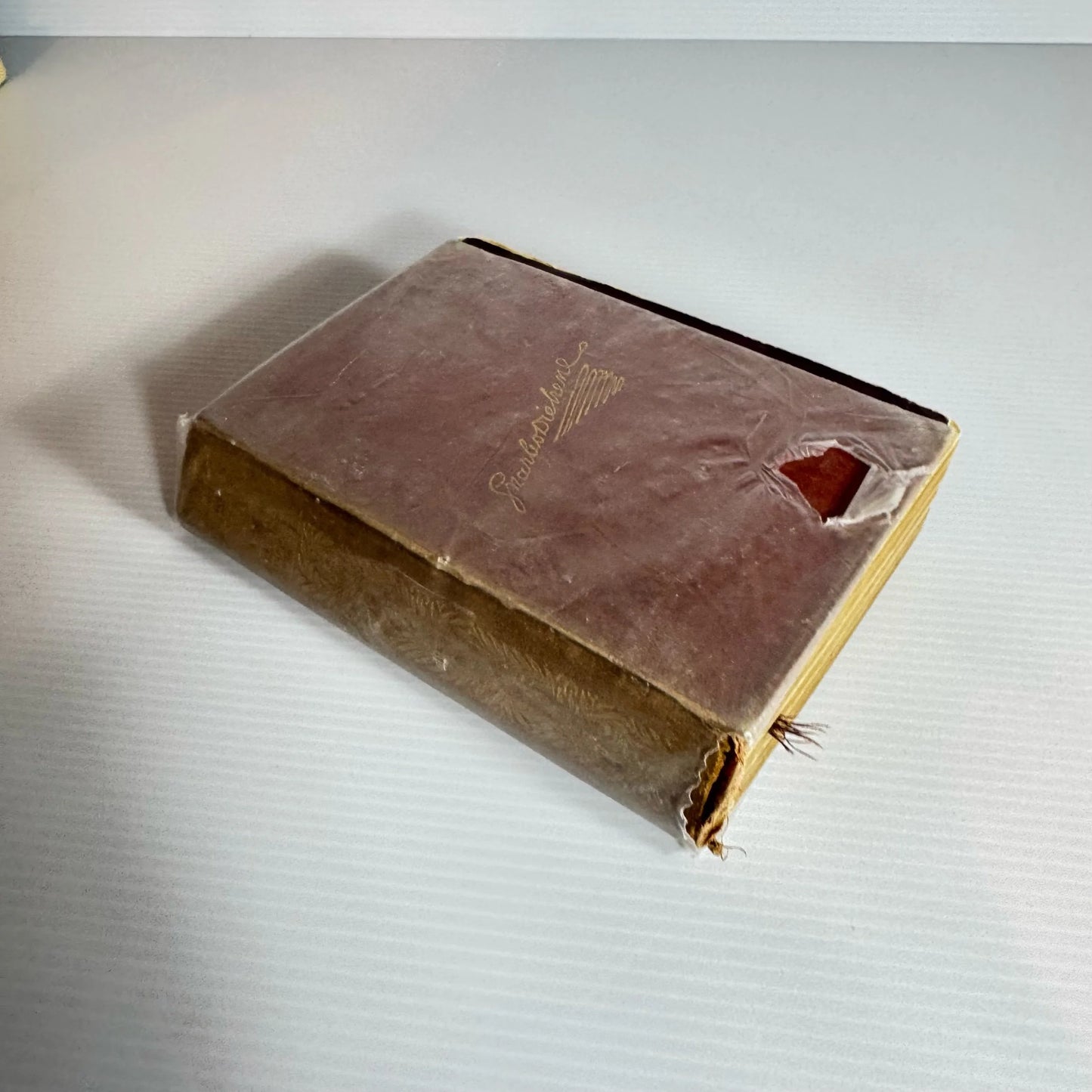Dombey and Son - Charles Dickens (Vintage 1903-1940?)
