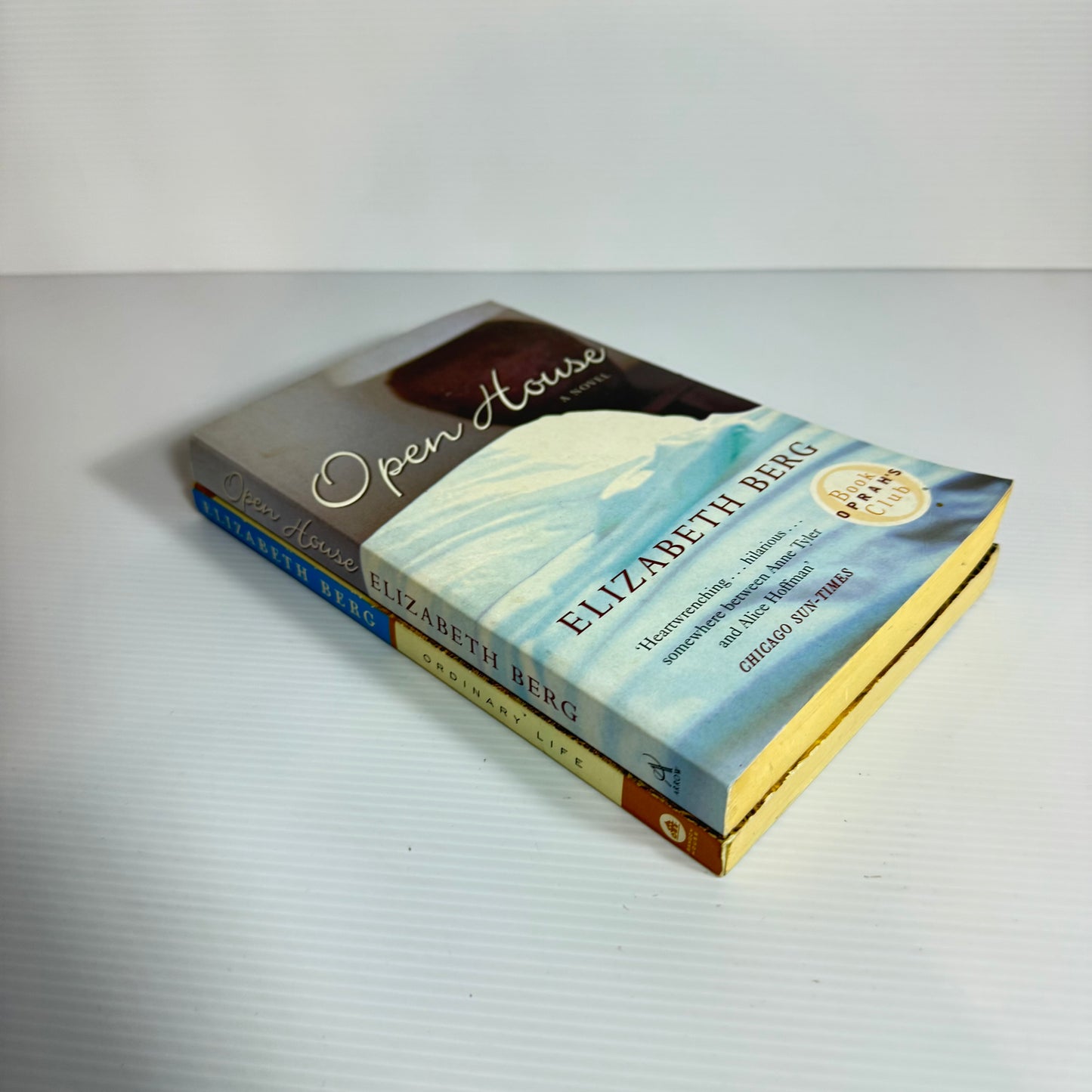 Elizabeth Berg Book Bundle x 2 : Open House & Ordinary Life (3053)