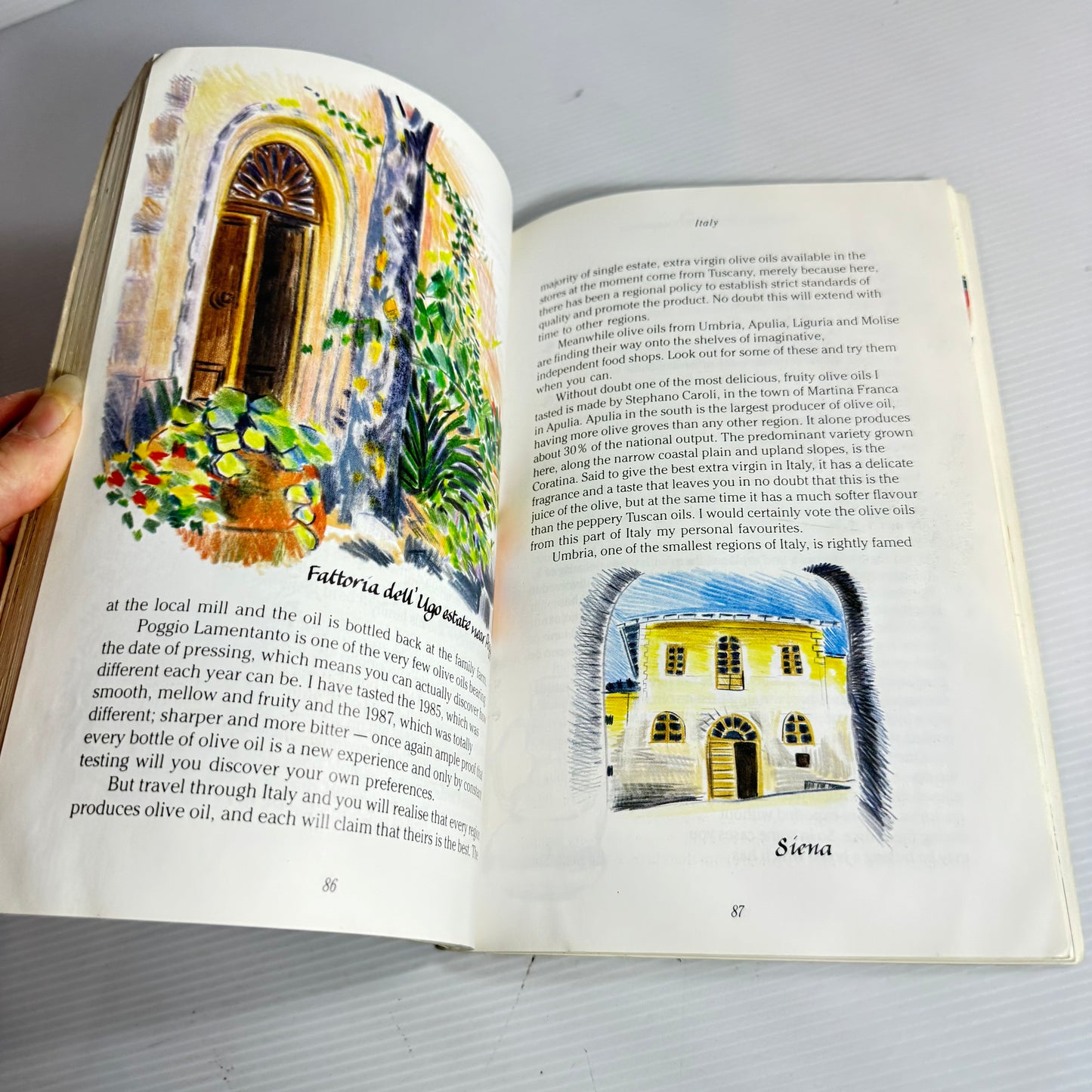 Olive Oil Book Bundle x 2 : The Mediterranean Olive Oil Book Book - Louise Steel & The Essential Olive Oil Companion - Anne Dolamore (3208)