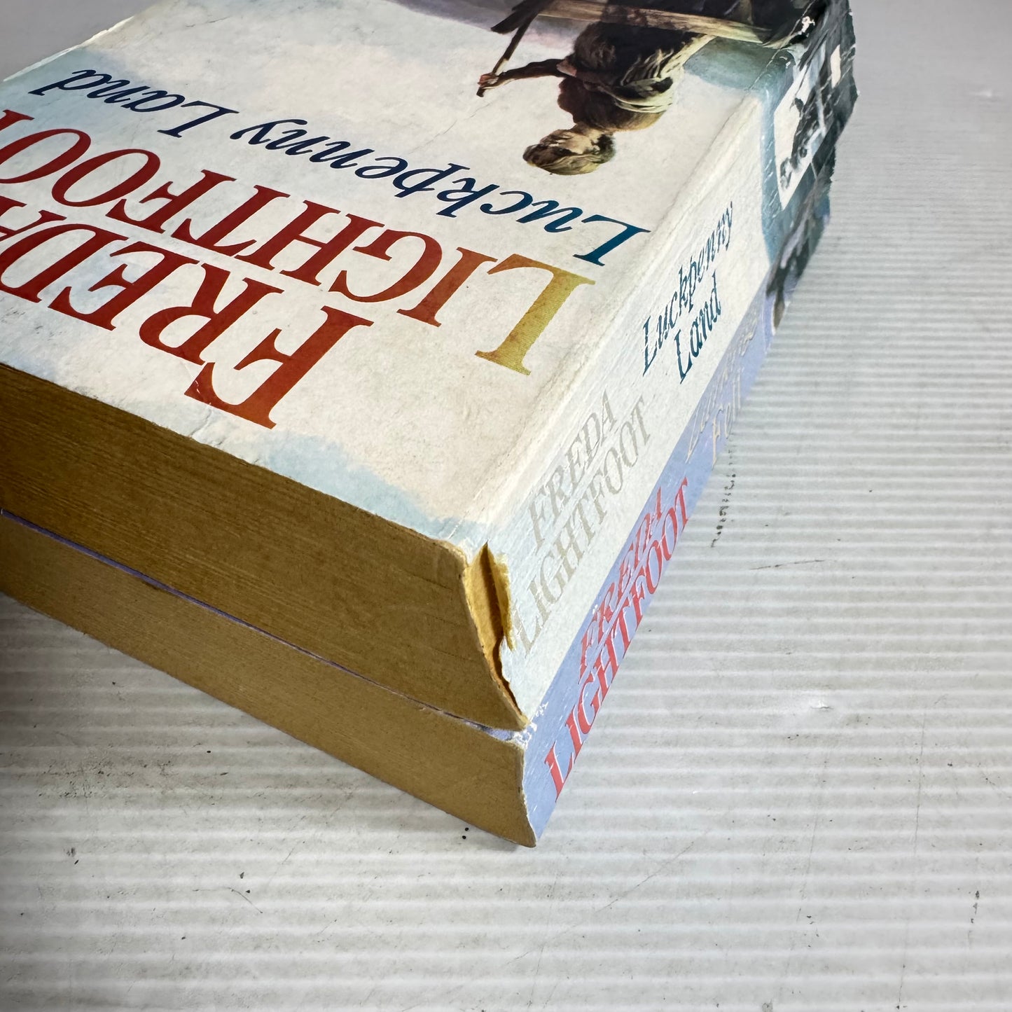 Freda Lightfoot Book Bundle x 2 : Luckpenny Land & Larkrigg Fell (2968)