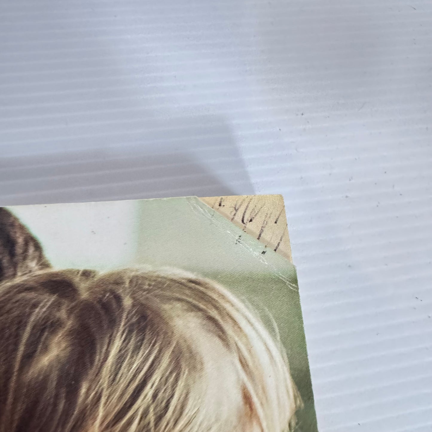 Mills & Boon Medical 2in1 Book Bundle : 4 x Books x 8 Stories (2504)