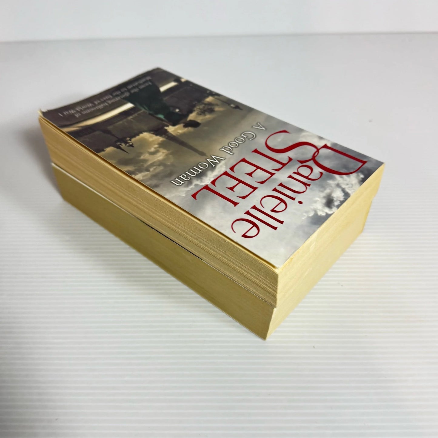 Danielle Steel Romance Book Bundle x 2 : A Good Woman & Rogue (2176)