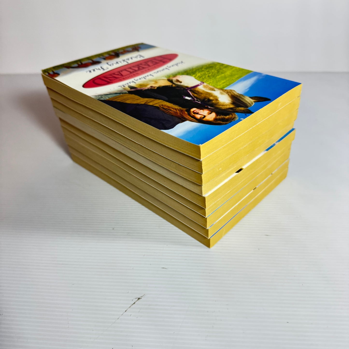 Lauren Brooke Heartland Horse Series Book Bundle x 9 Books (3184)