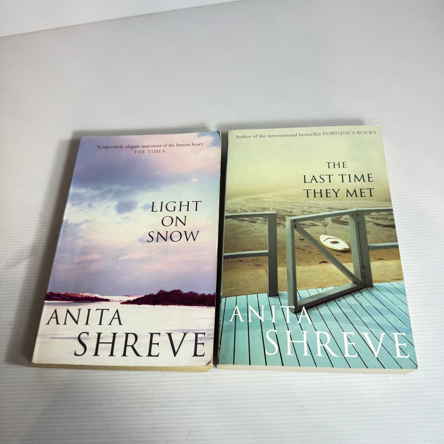 Anita Shreve Book Bundle x 2 : The Last Time They Met & Light On Snow (2442)