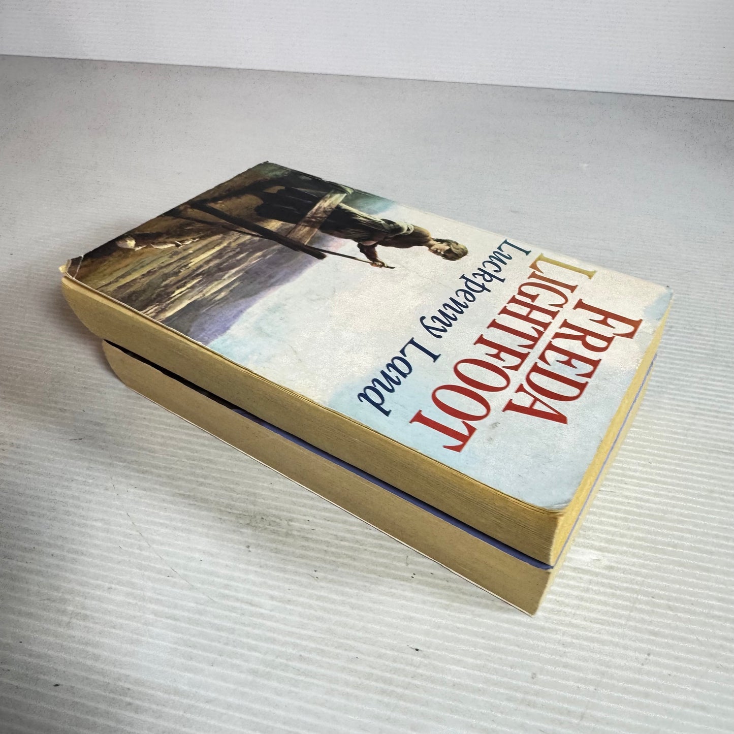 Freda Lightfoot Book Bundle x 2 : Luckpenny Land & Larkrigg Fell (2968)