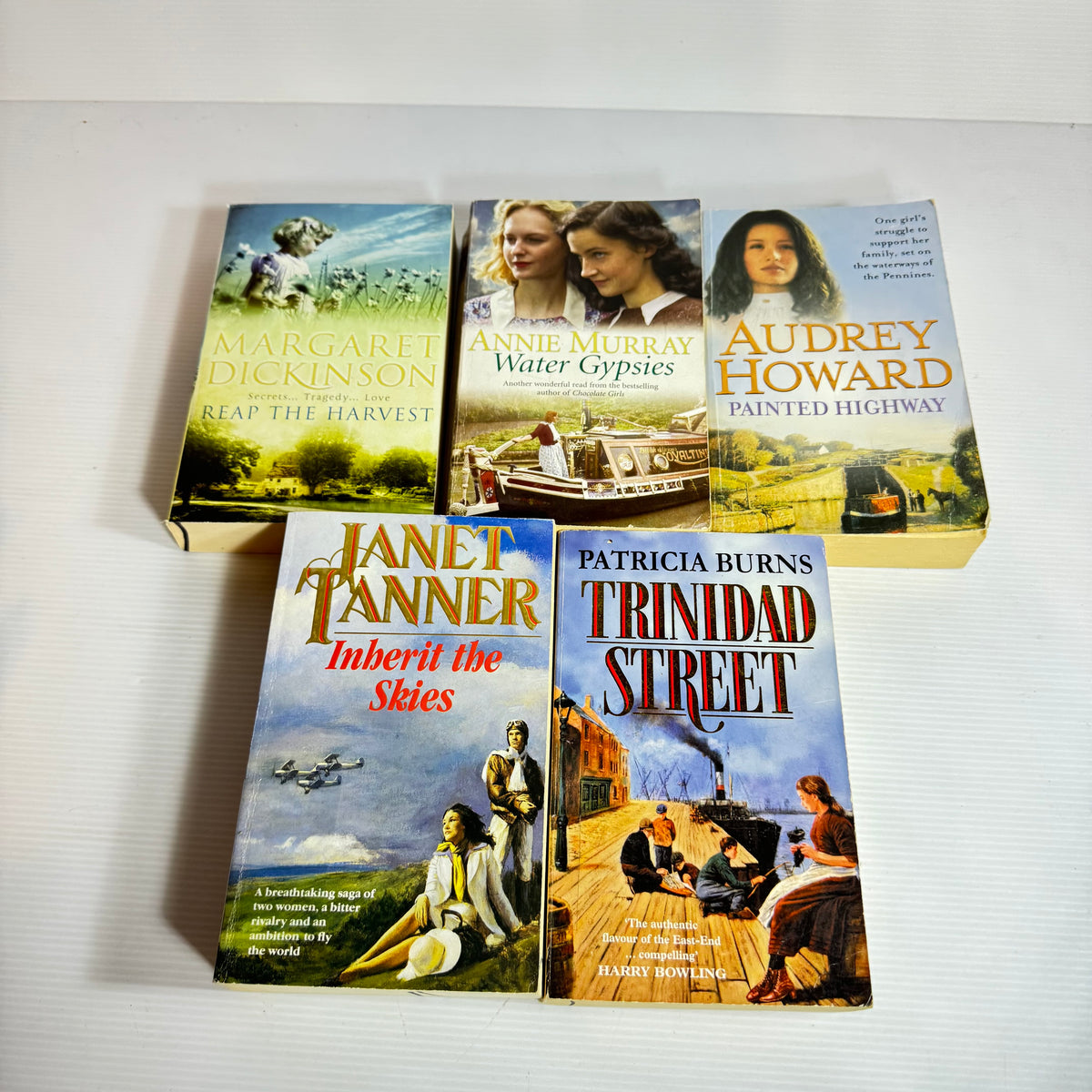 Romantic Family Saga Bundle x 5 : Water Gypsies - Annie Murray, Painted Highway - Audrey Howard, Trinidad Street - Patricia Burns, Reap The Harvest - Margaret Dickinson, Inberit The Skies - Janet Tanner (3371)