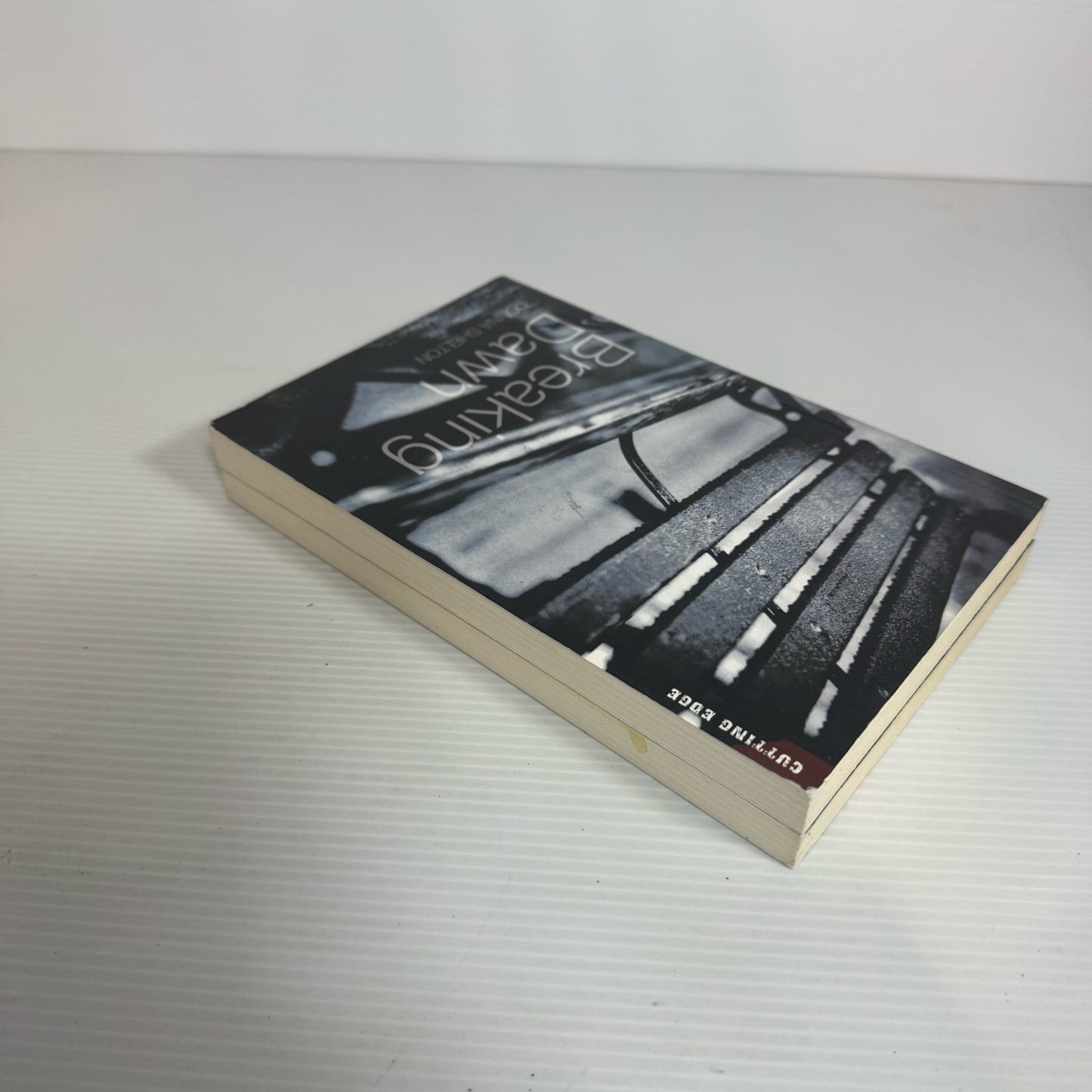 Cutting Edge Young Adult Book Bundle x 2 : Marty's Diary - Frances Cross & Breaking Dawn - Donna Shelton (2317)