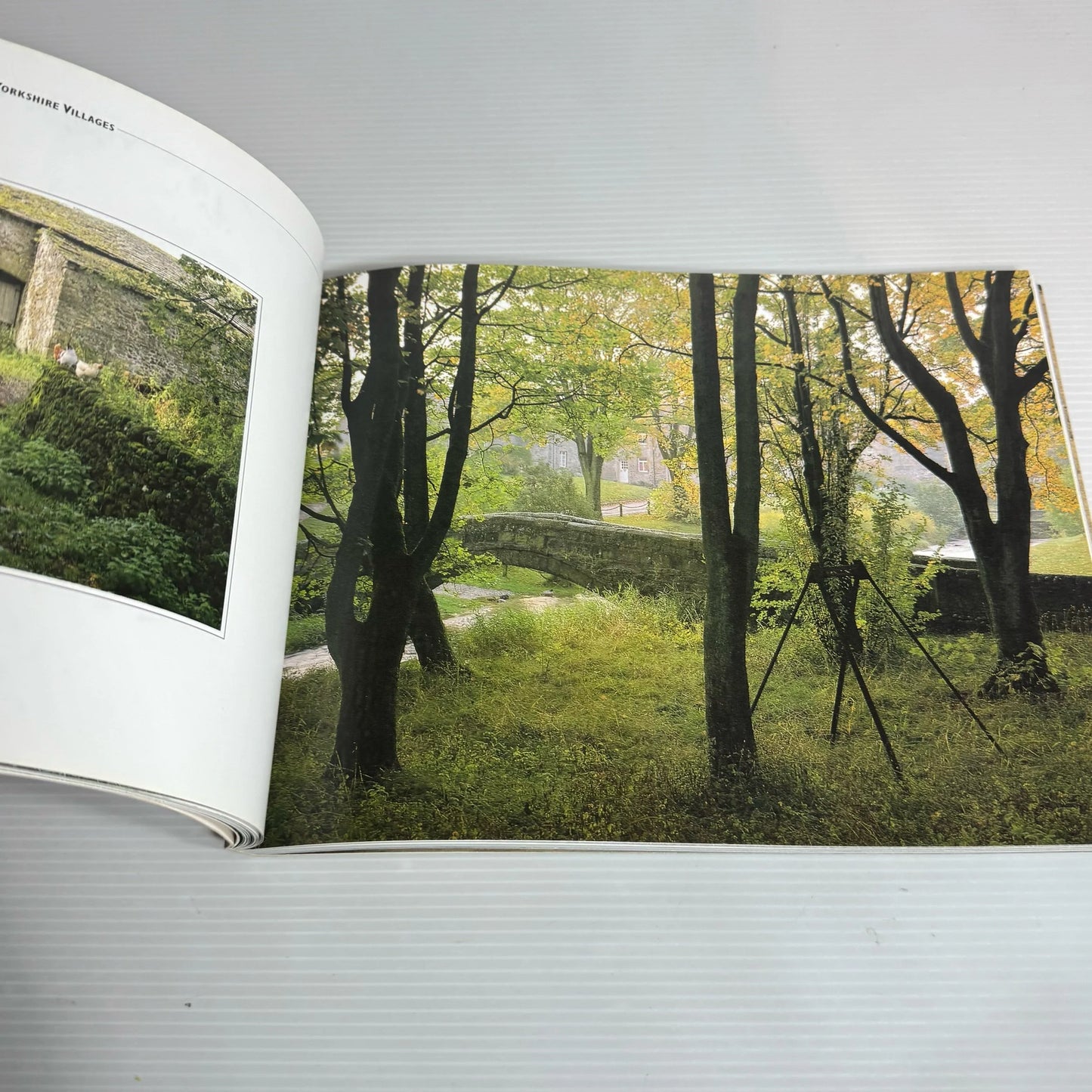 Old English Village Pictorial Book Bundle x 2 Books (2130)